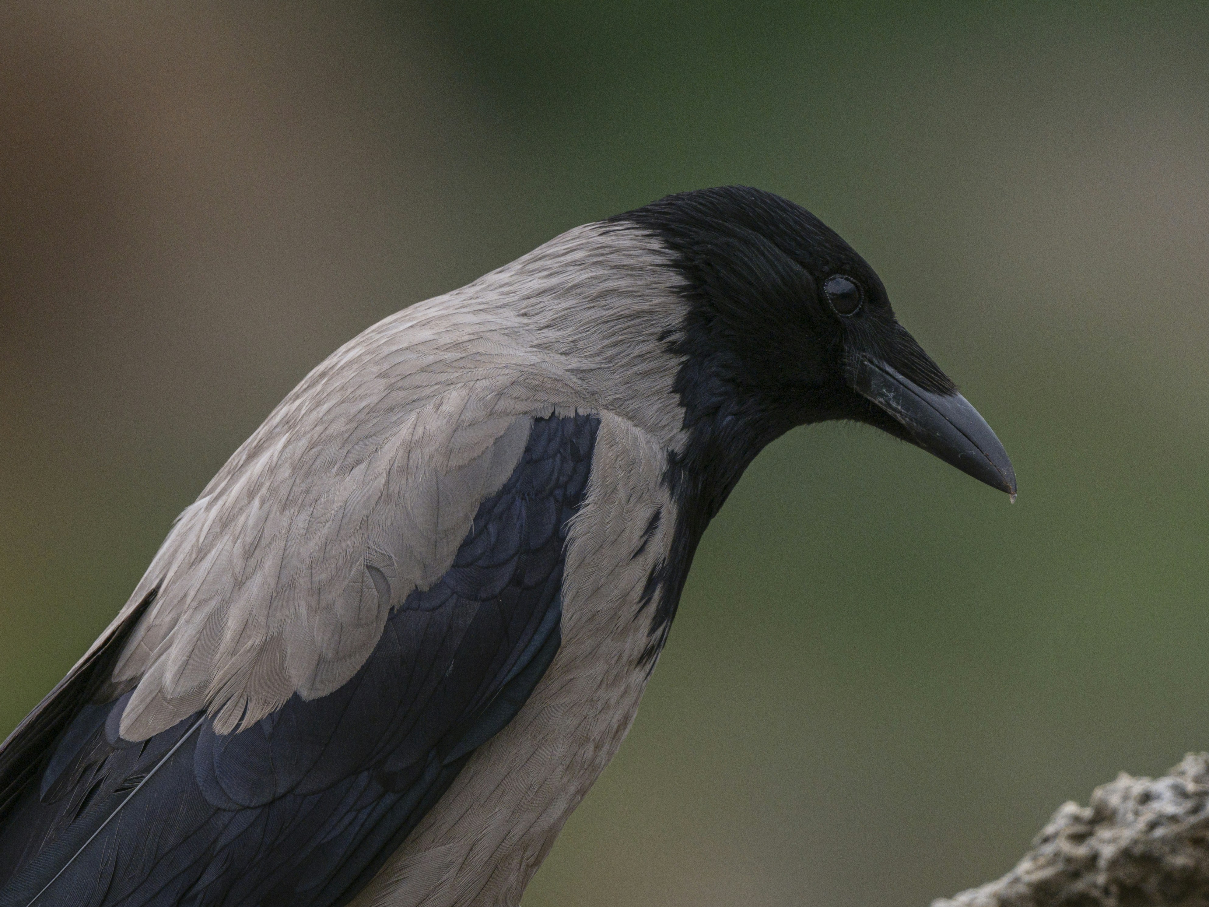 Photo by enginakyurt