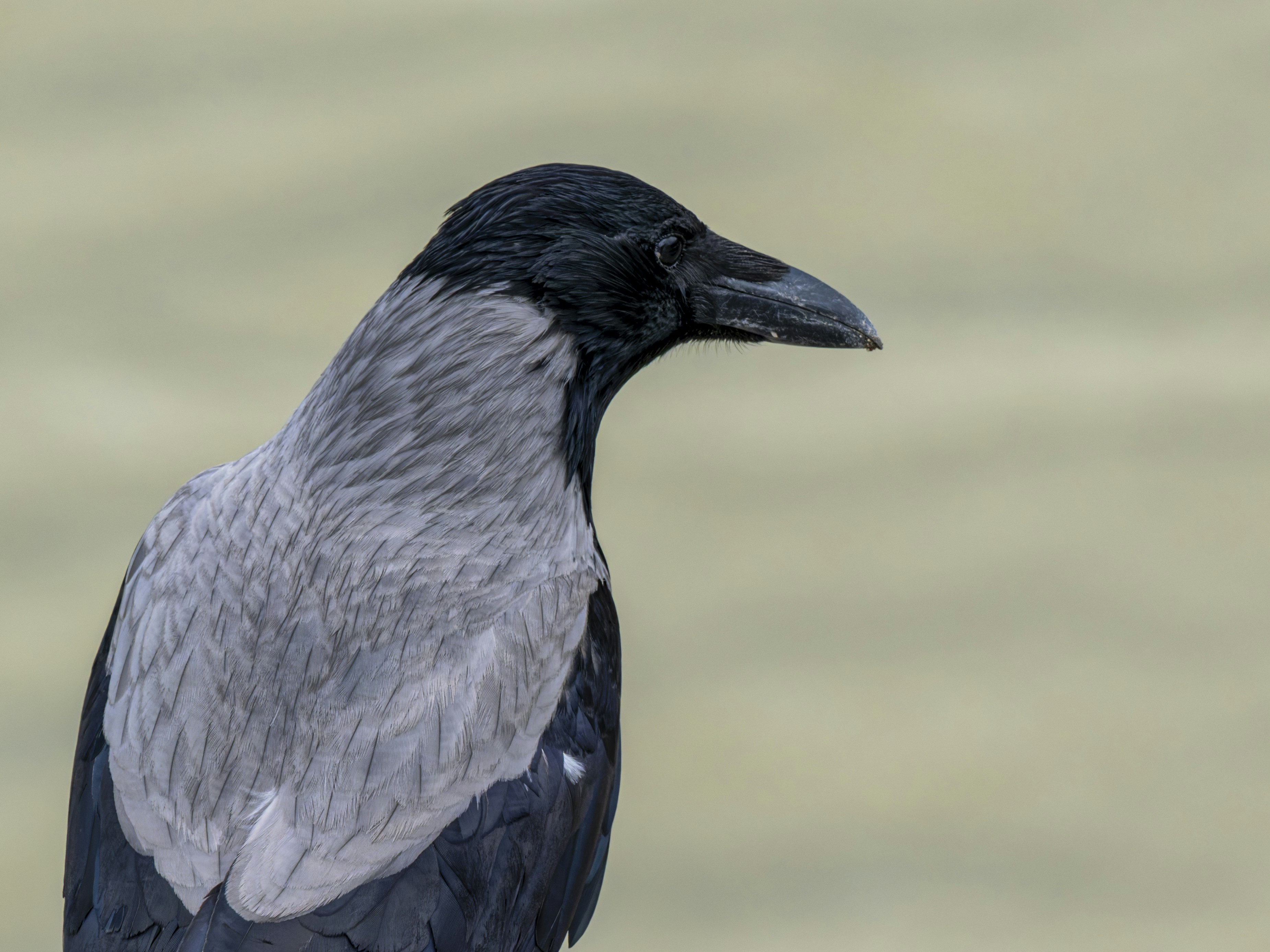 Photo by enginakyurt