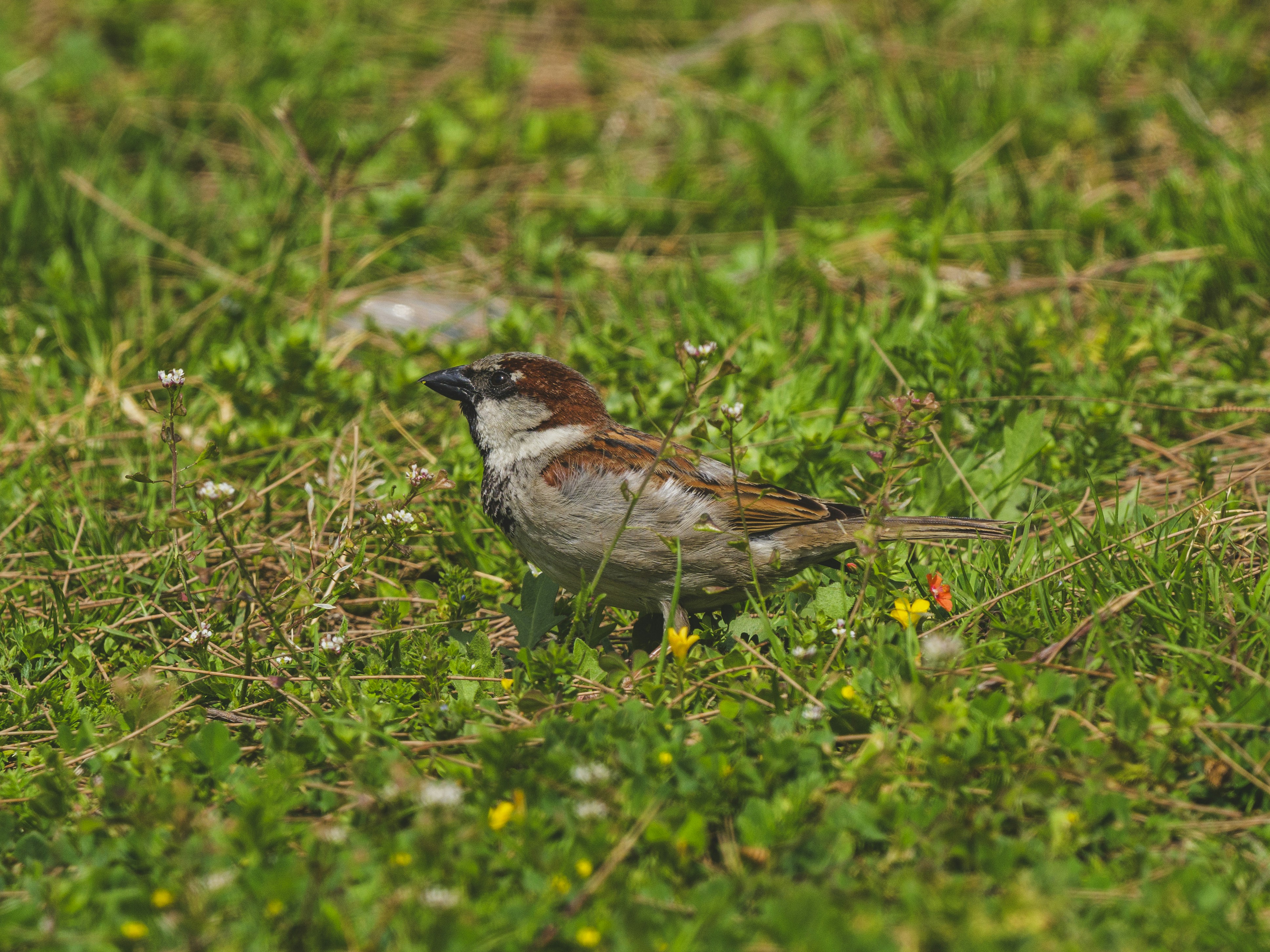 Photo by enginakyurt