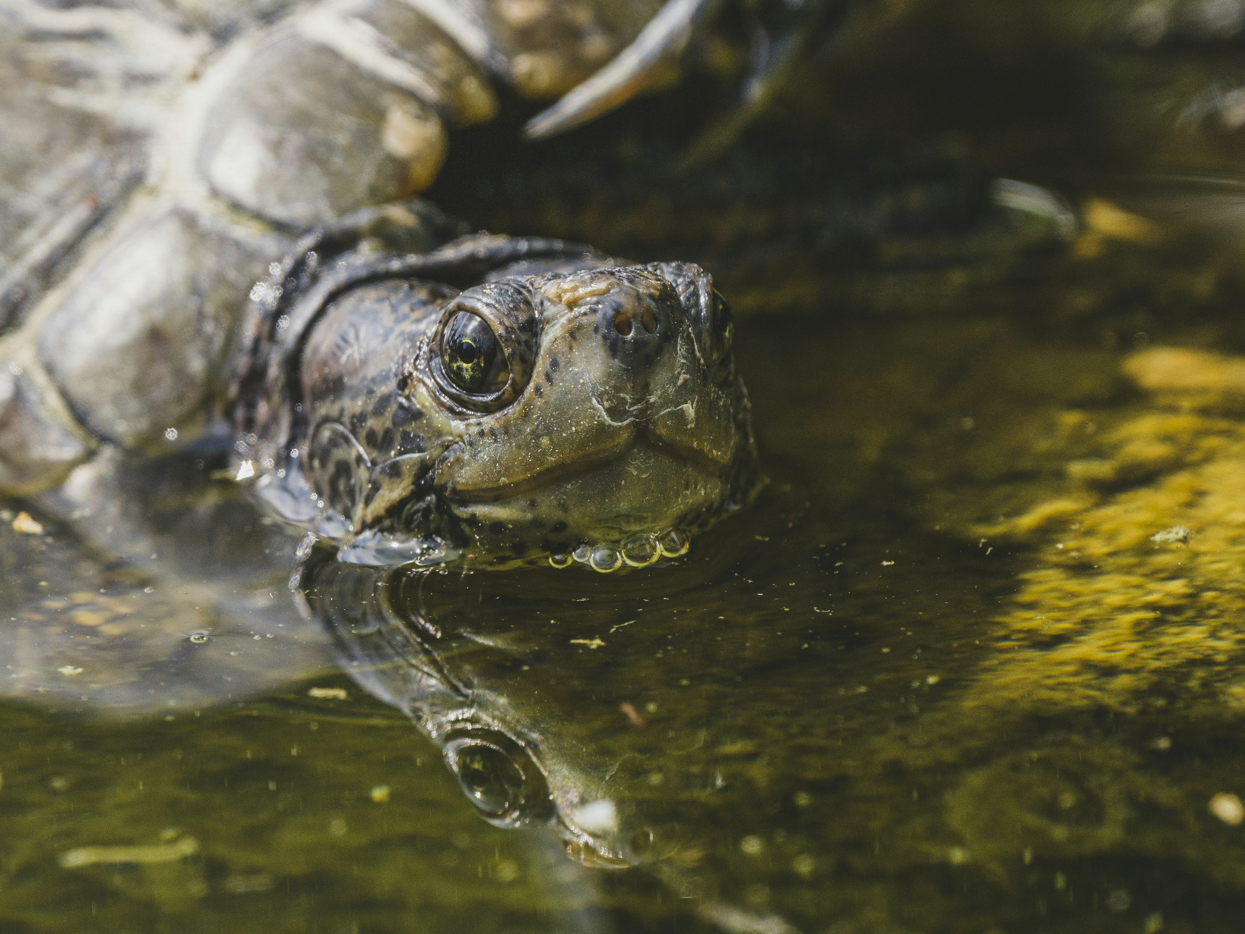 Photo by enginakyurt