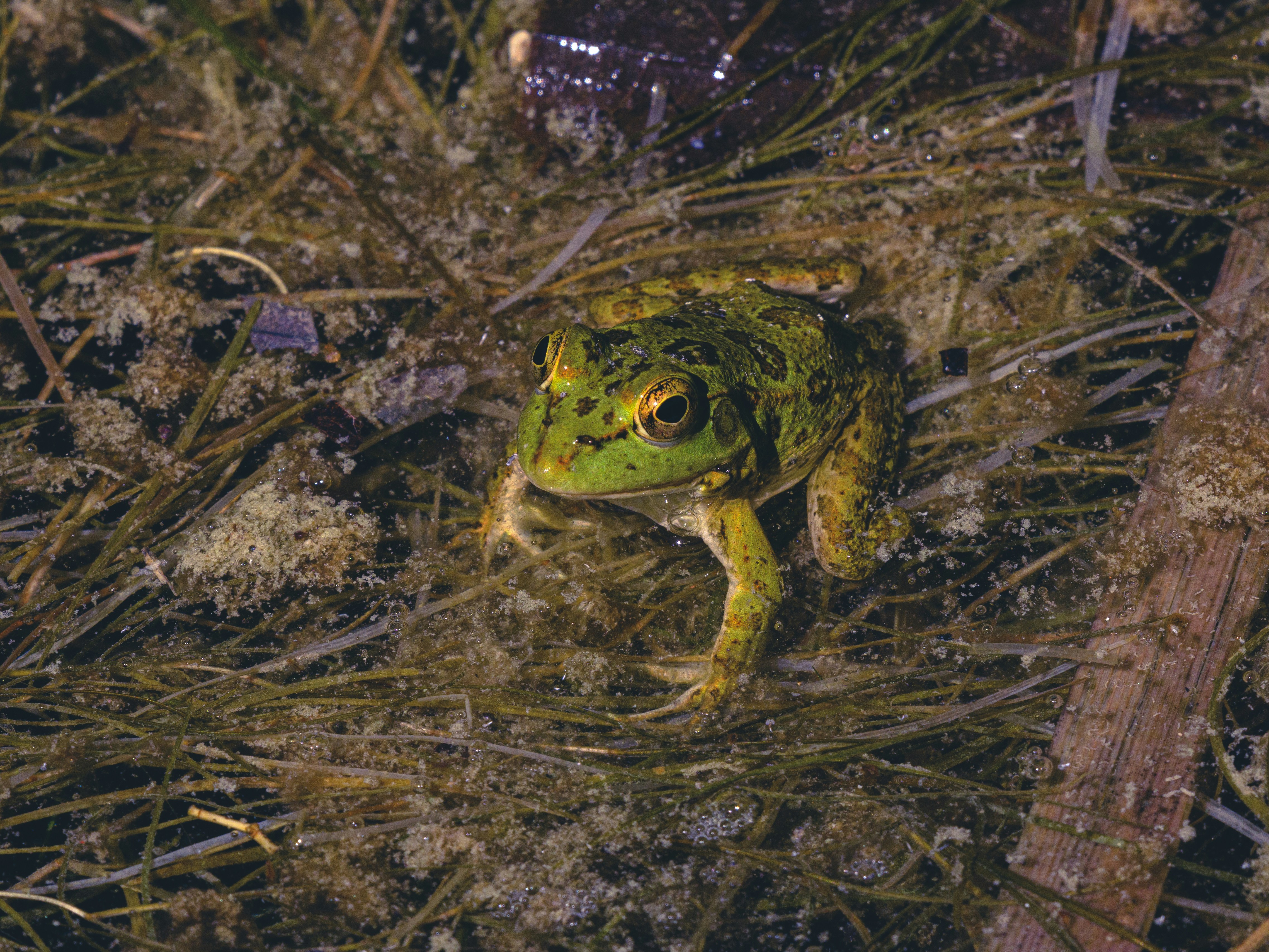 Photo by enginakyurt