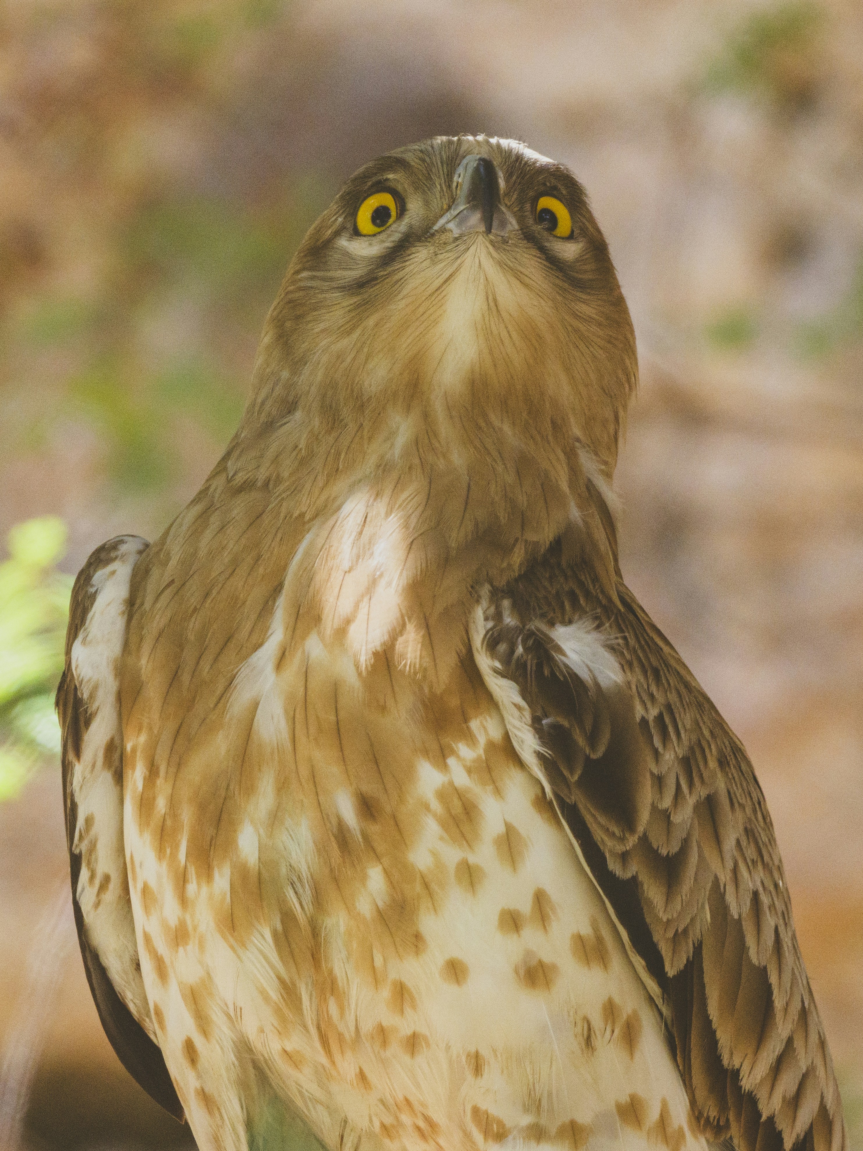 Photo by enginakyurt