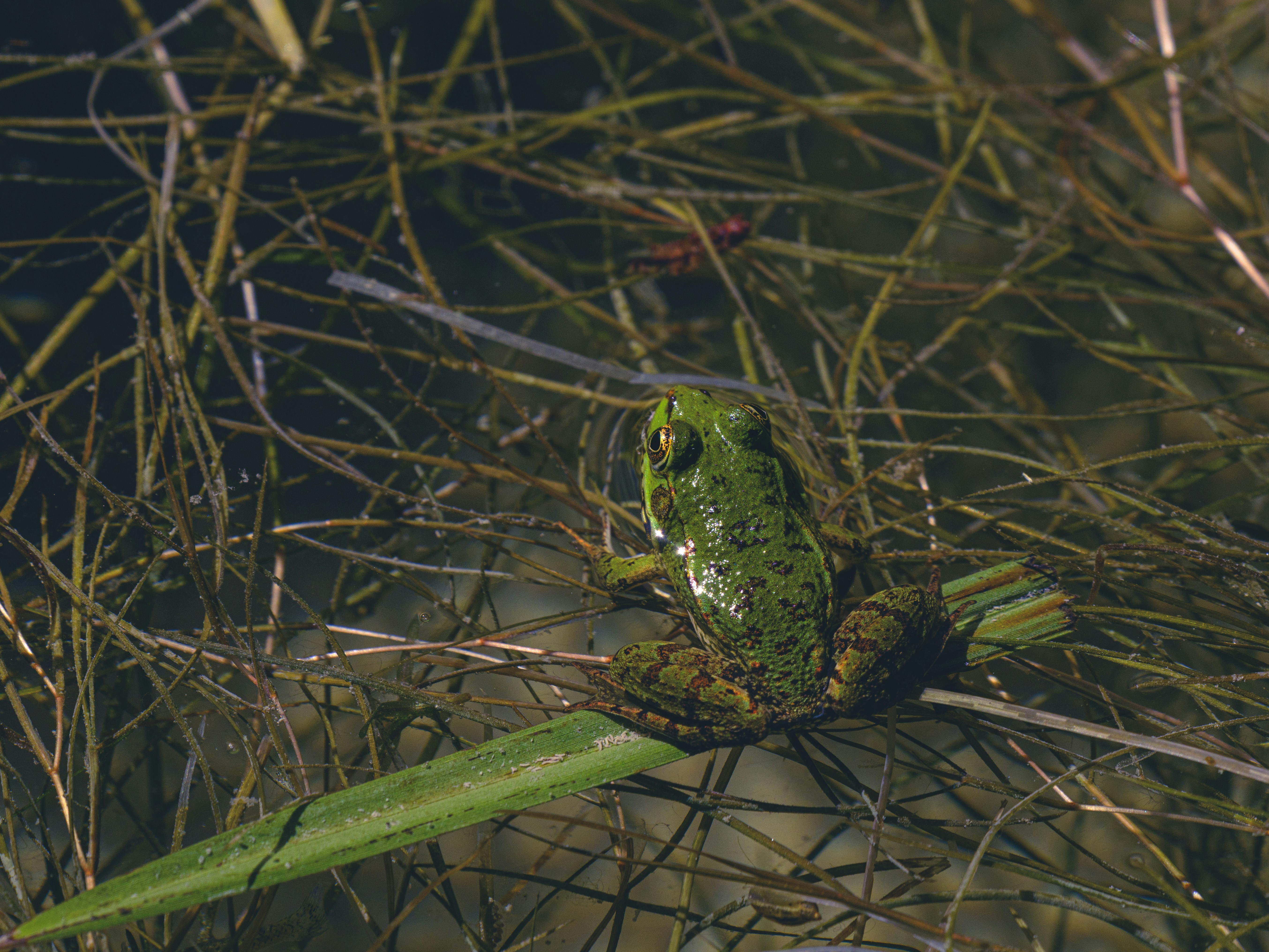 Photo by enginakyurt