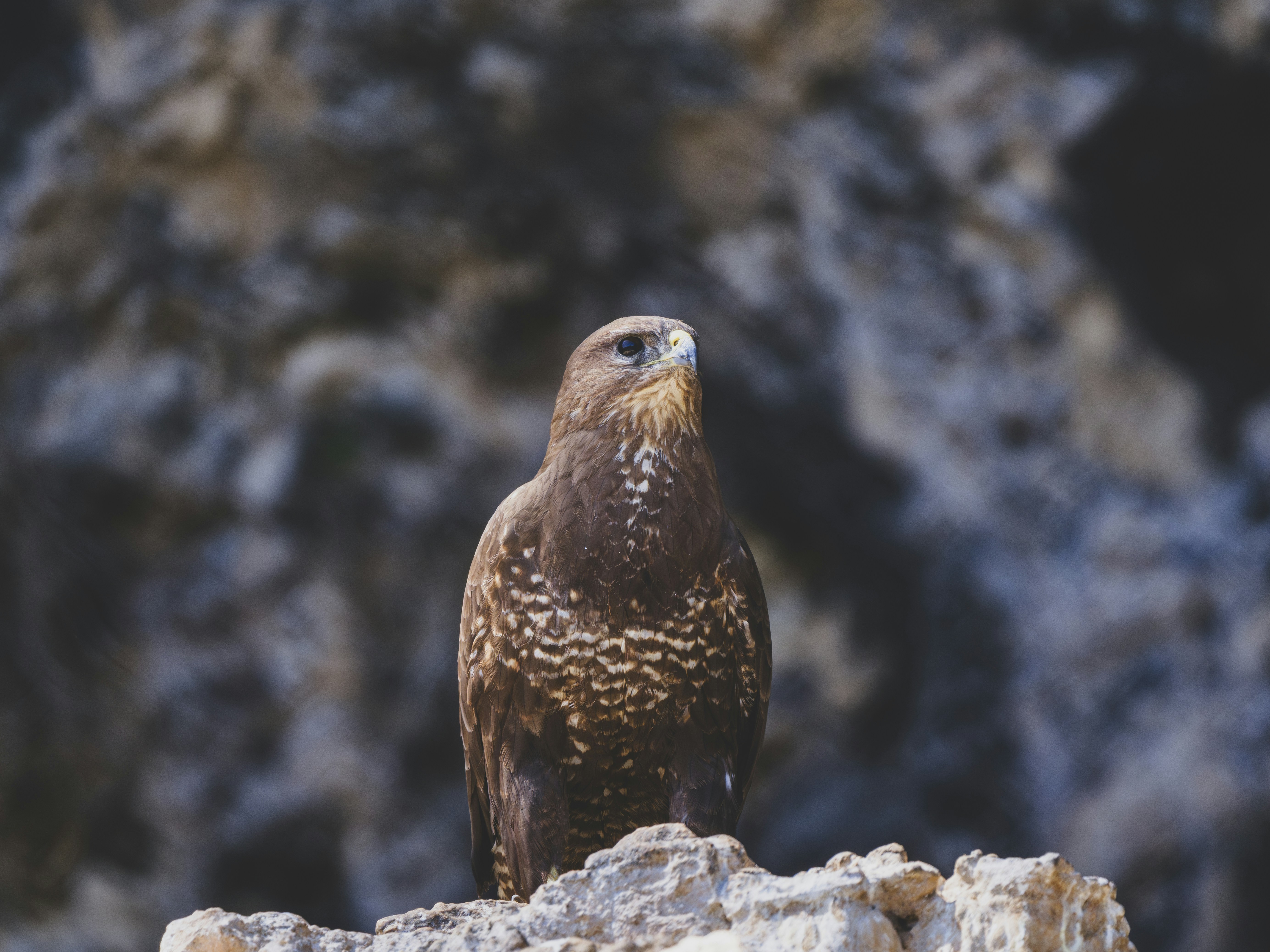 Photo by enginakyurt