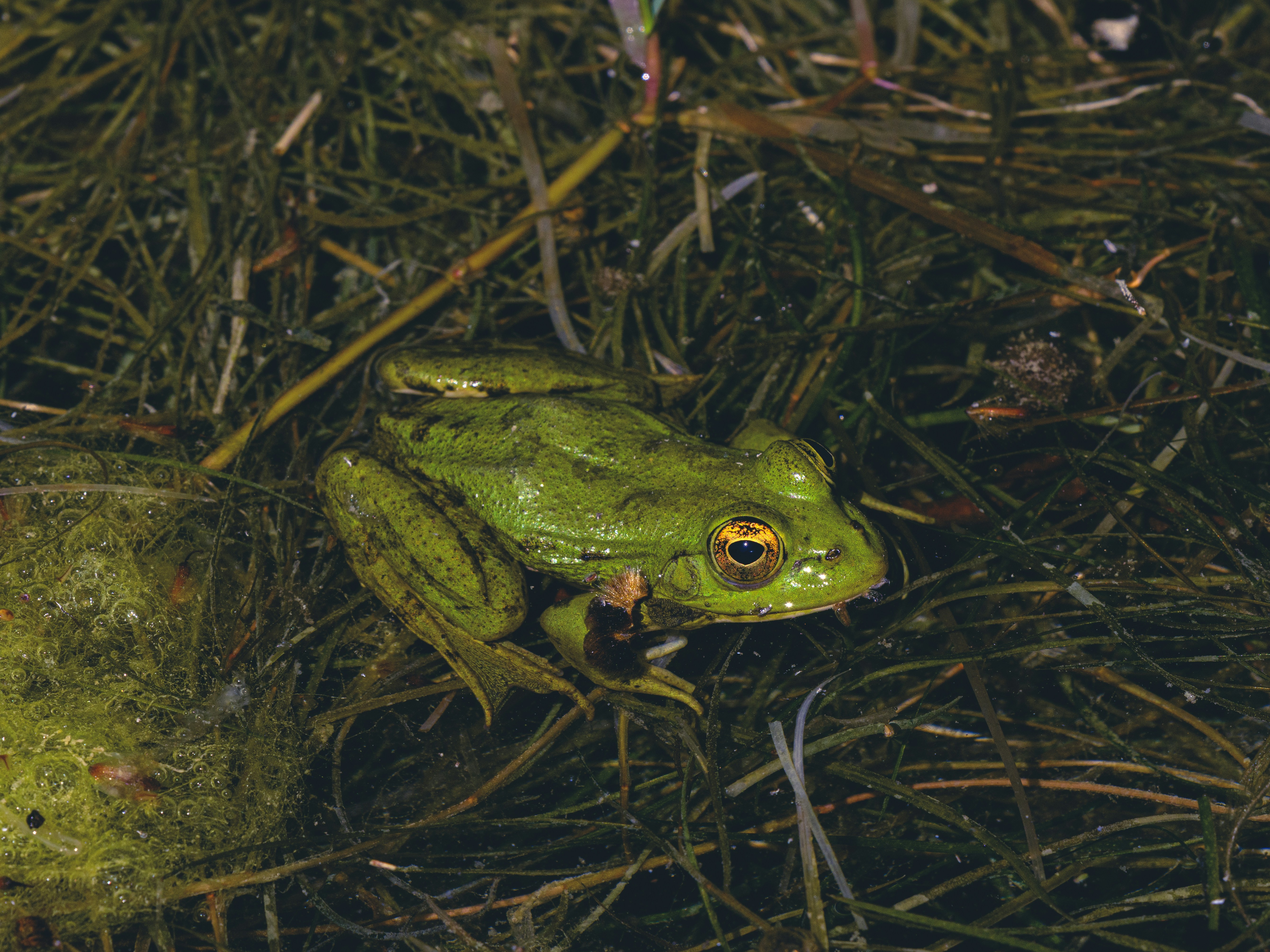 Photo by enginakyurt