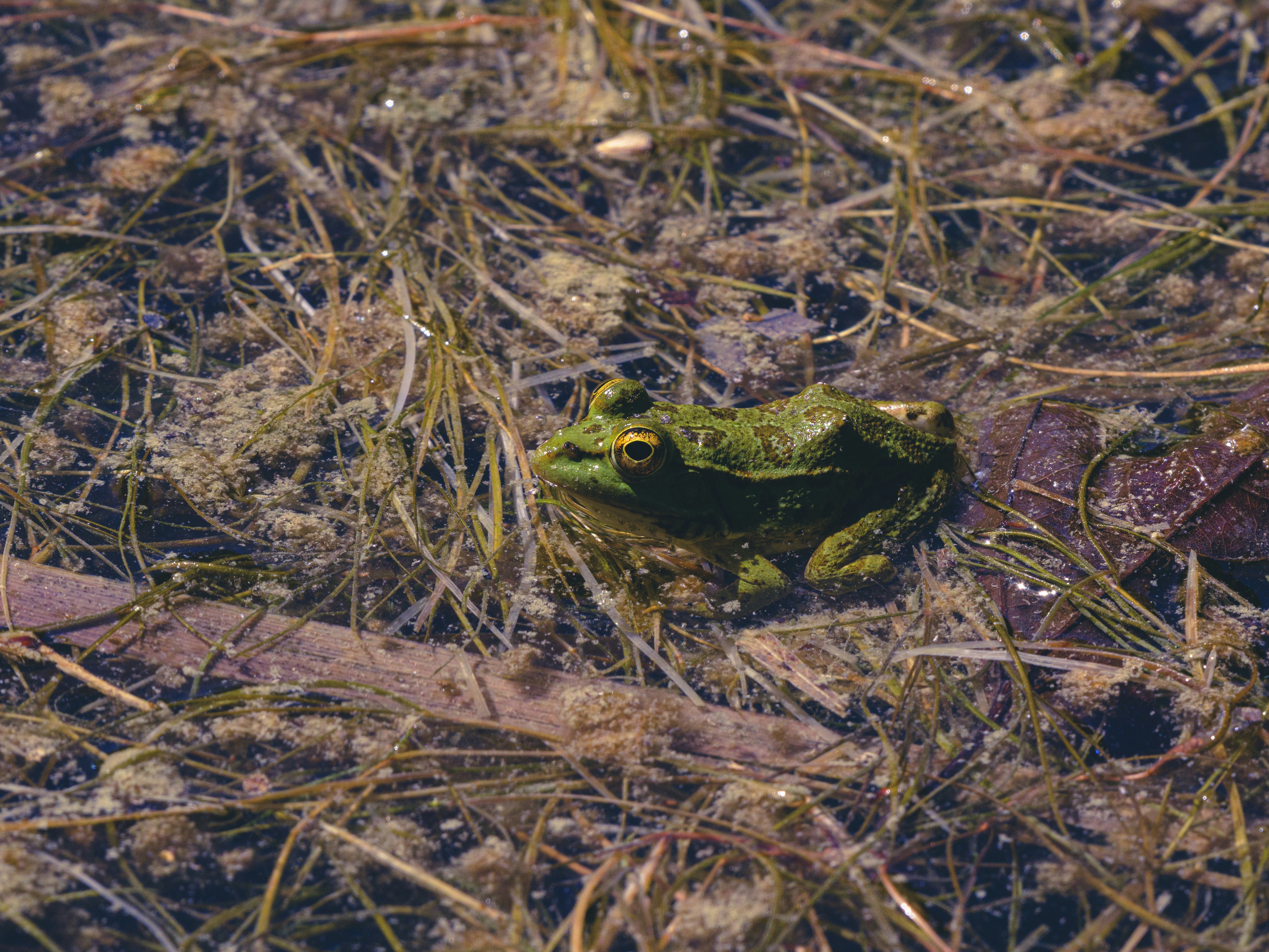 Photo by enginakyurt