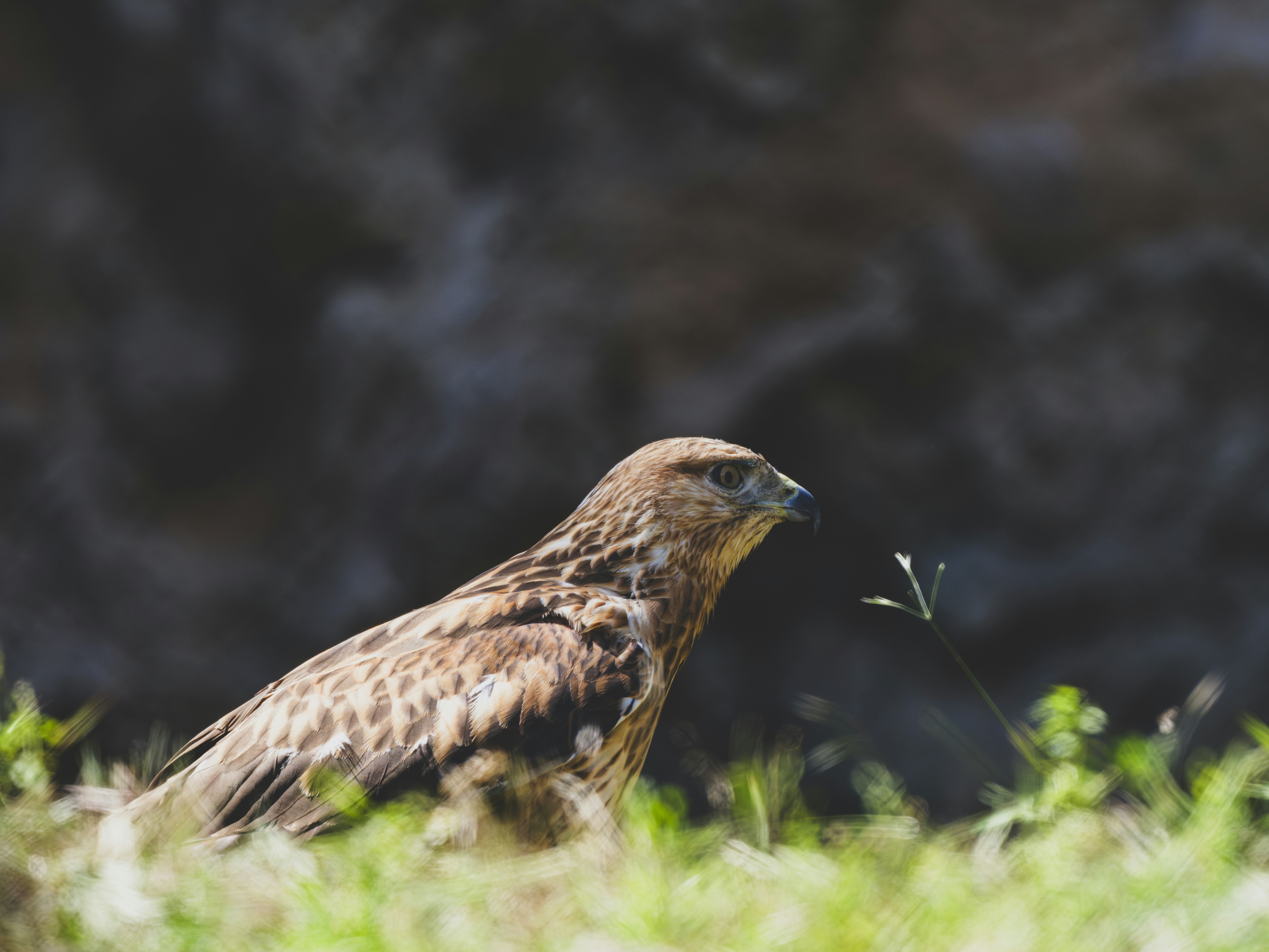 Photo by enginakyurt