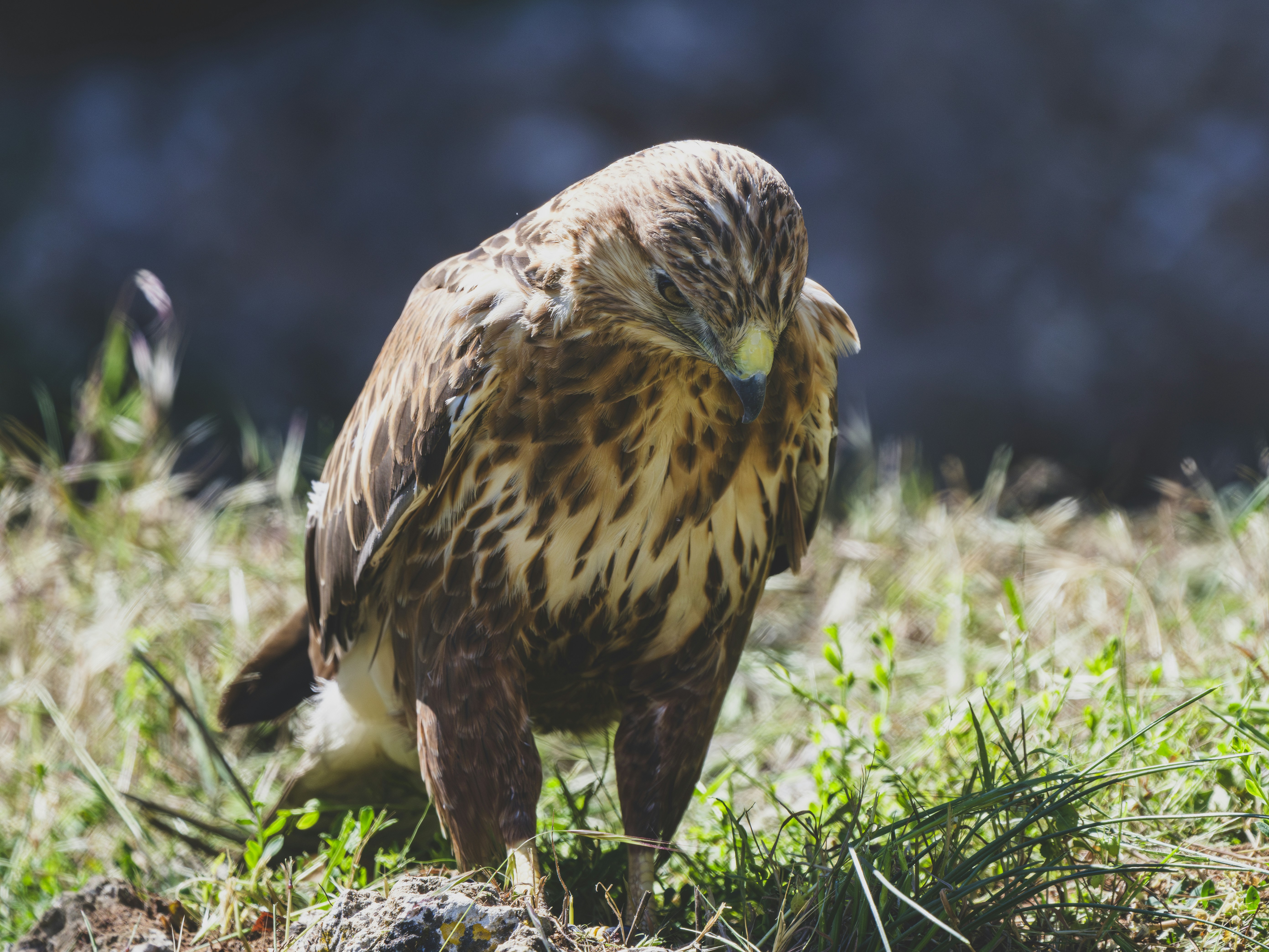 Photo by enginakyurt