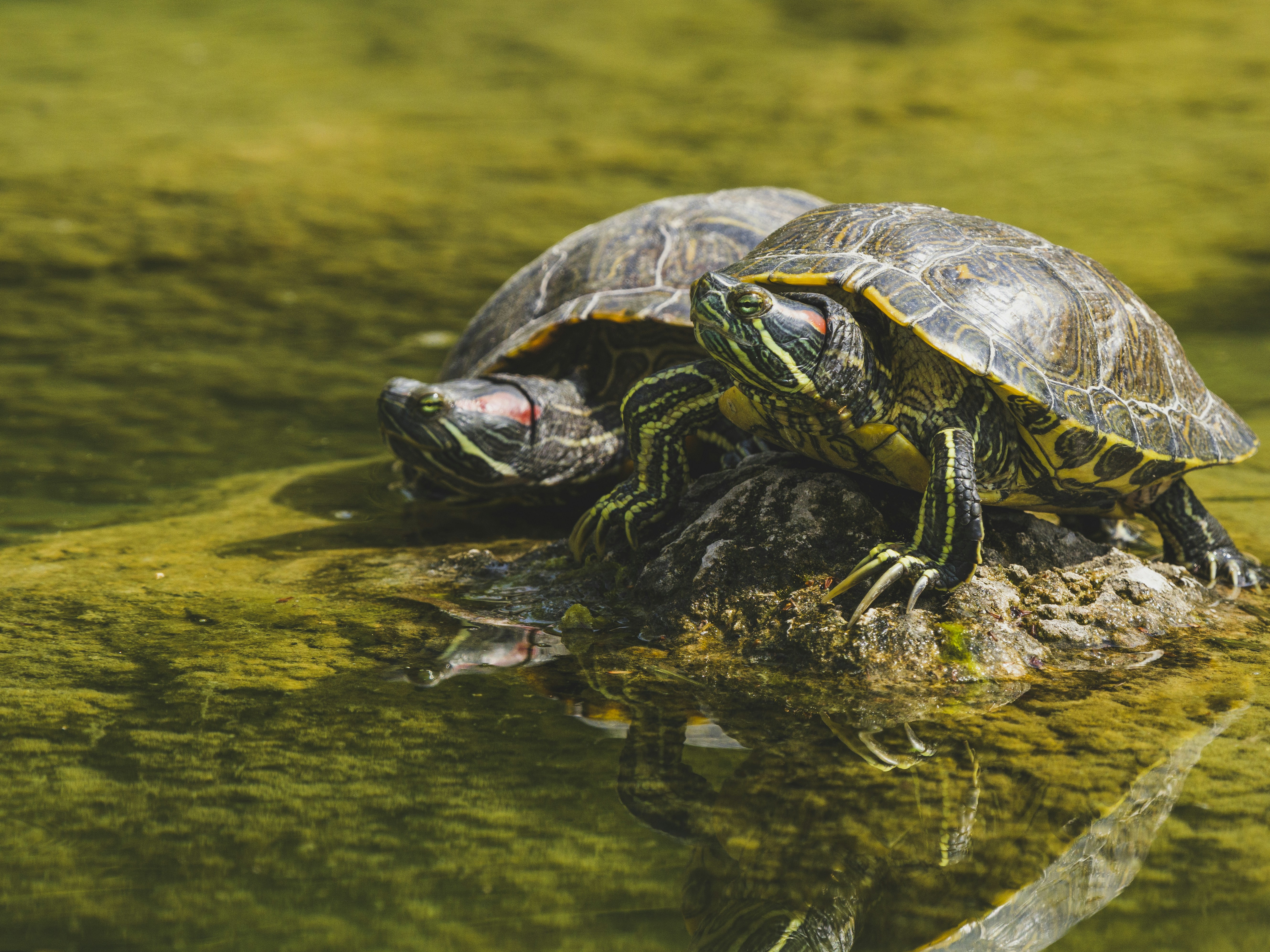 Photo by enginakyurt