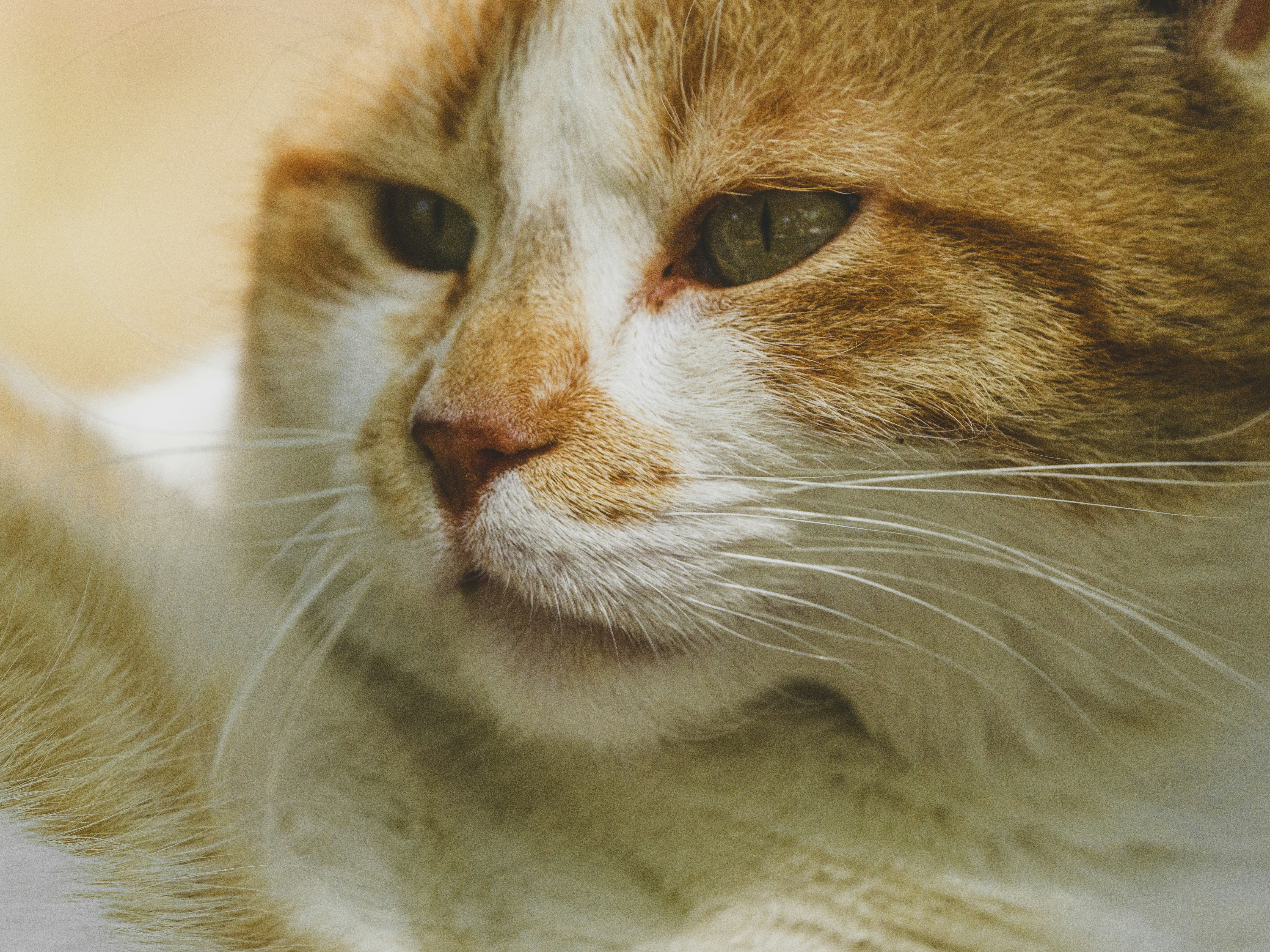 Photo by enginakyurt