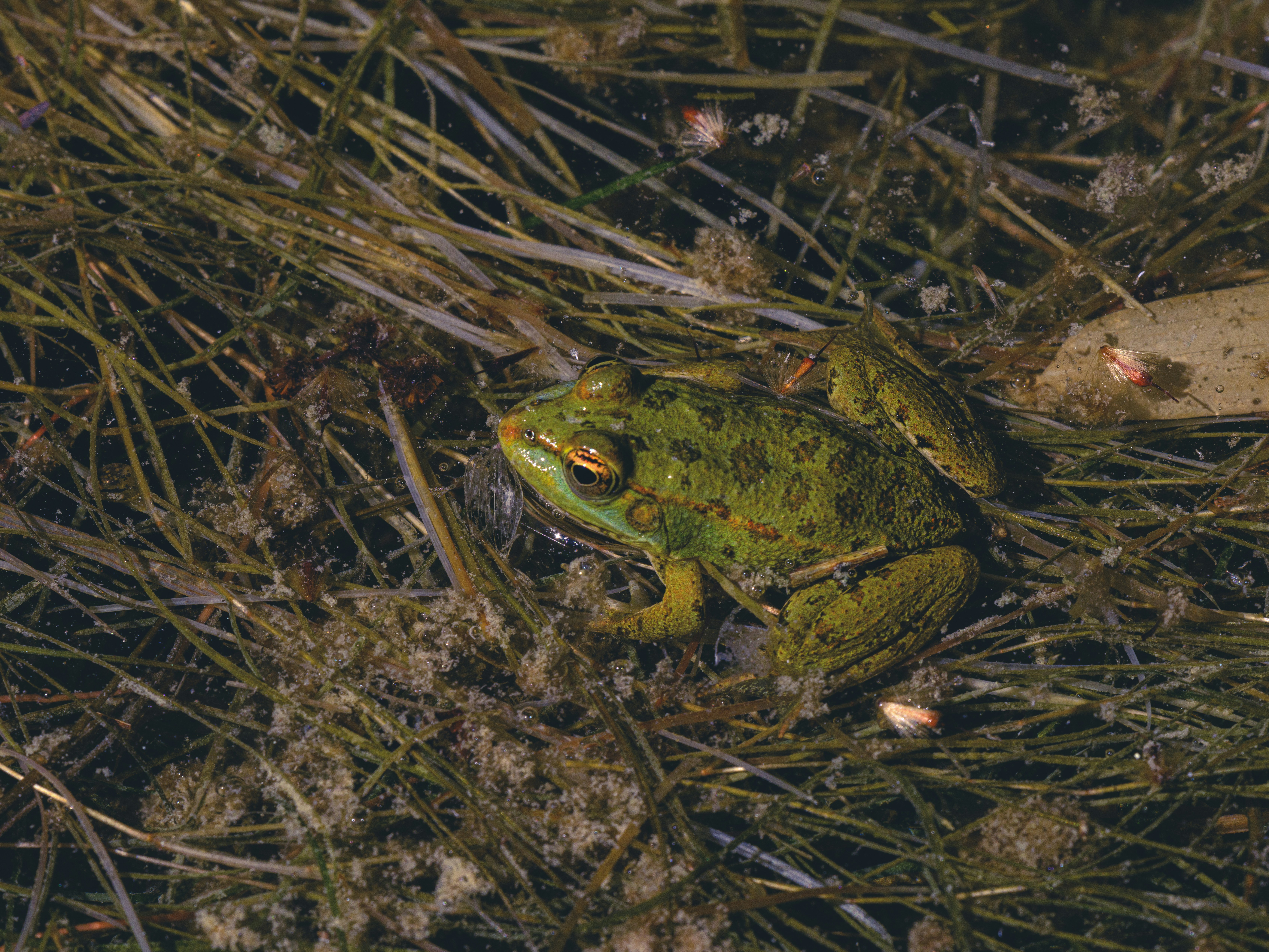 Photo by enginakyurt