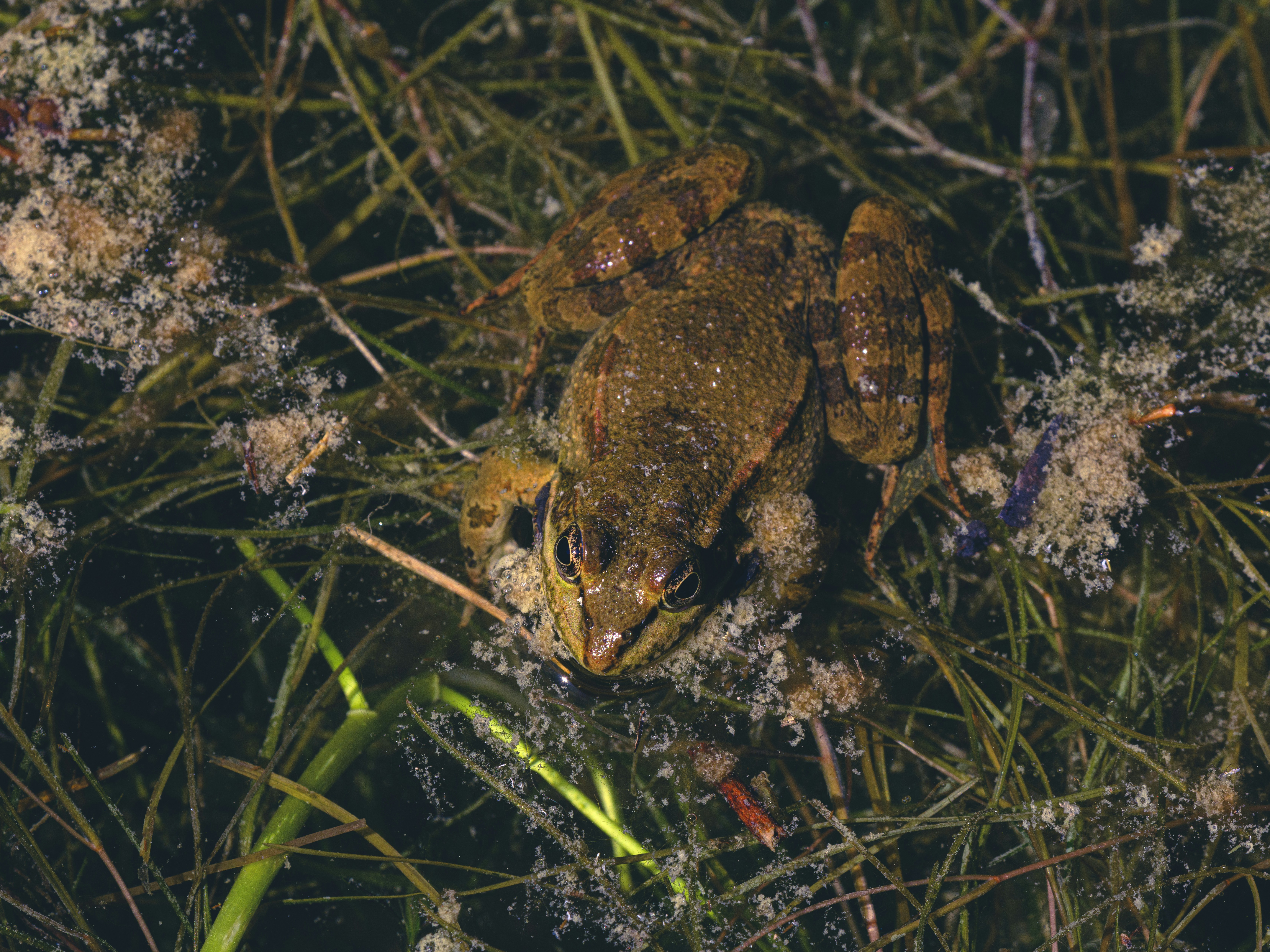 Photo by enginakyurt