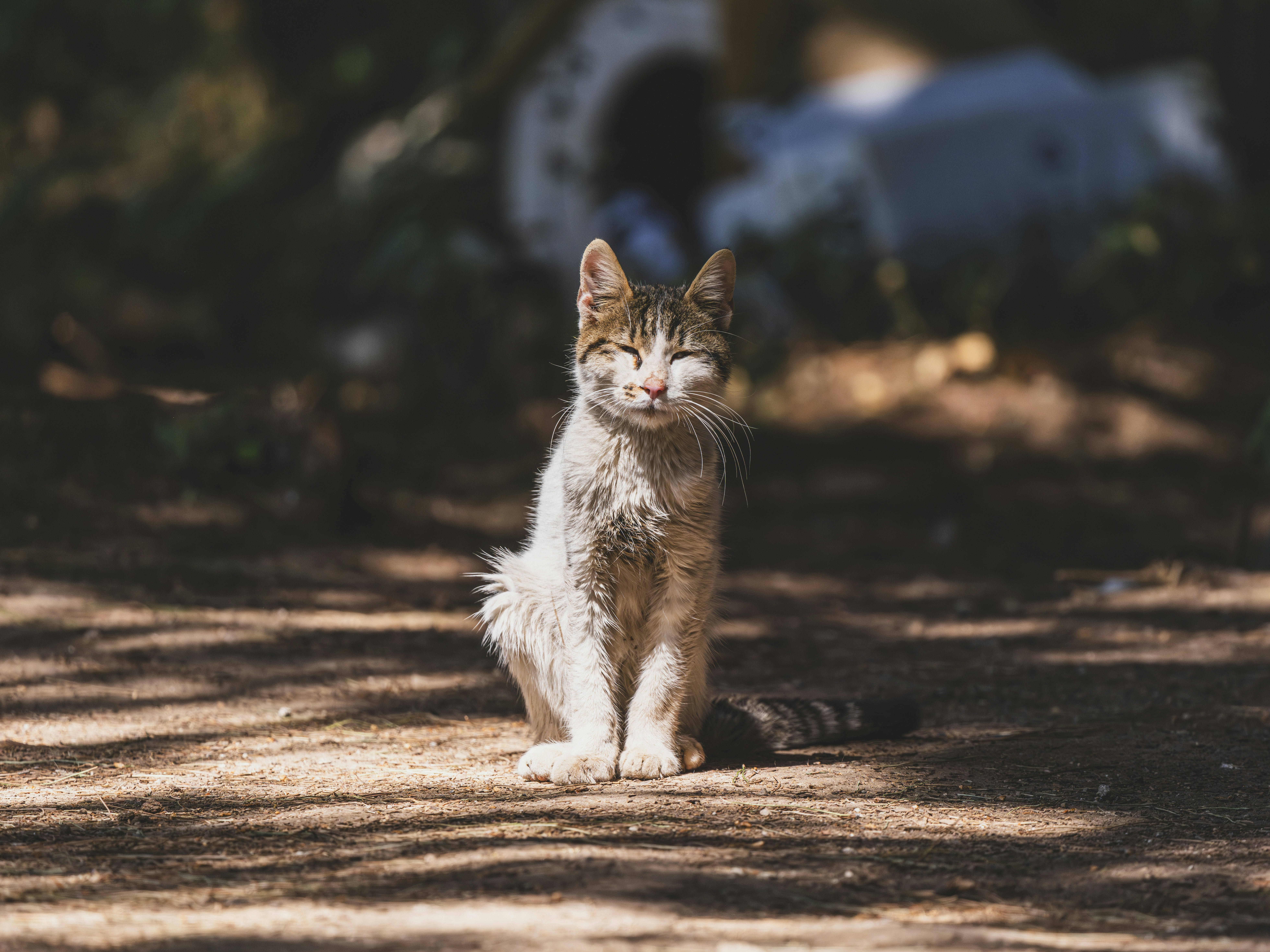 Photo by enginakyurt