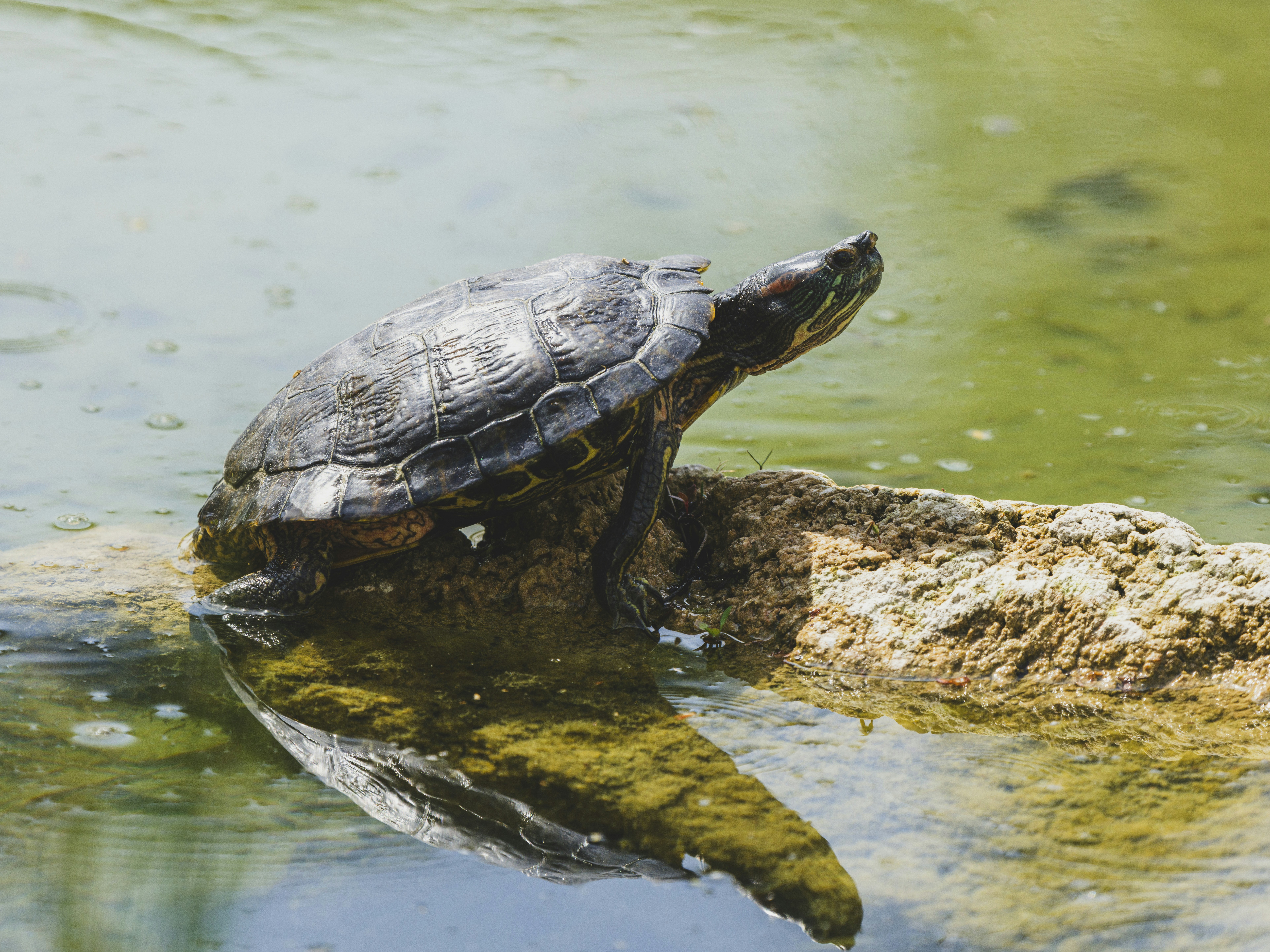 Photo by enginakyurt