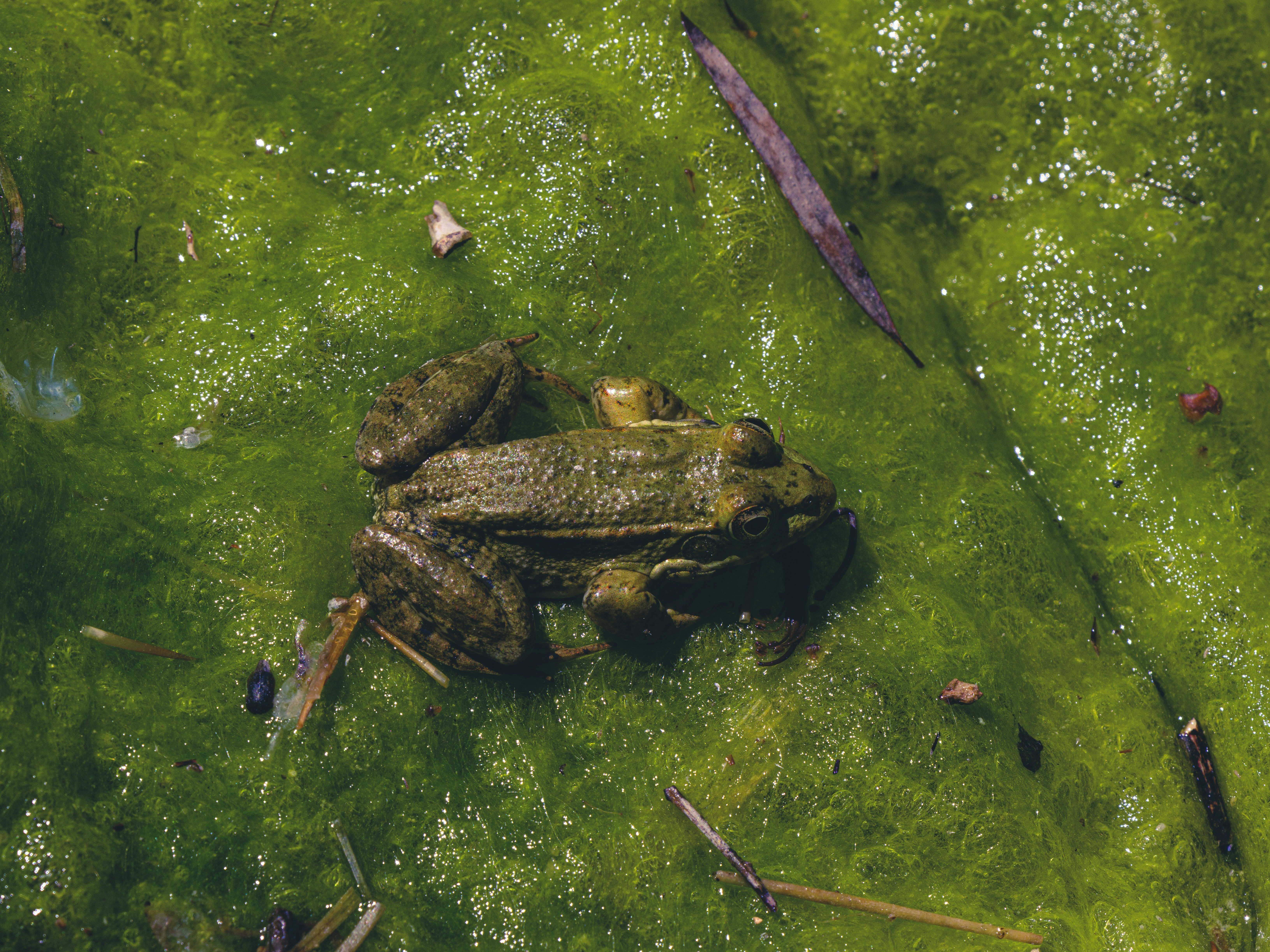 Photo by enginakyurt