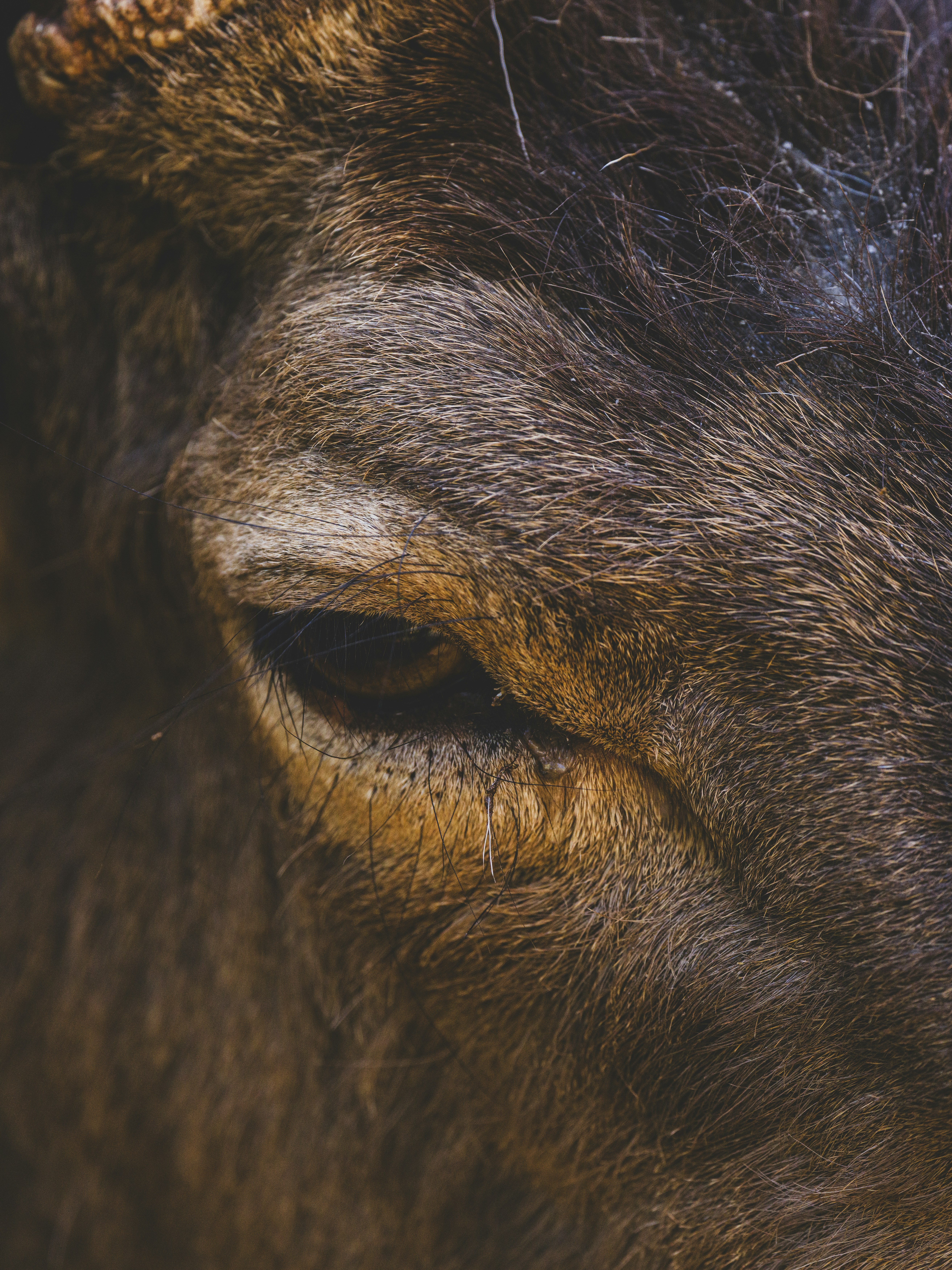 Photo by enginakyurt