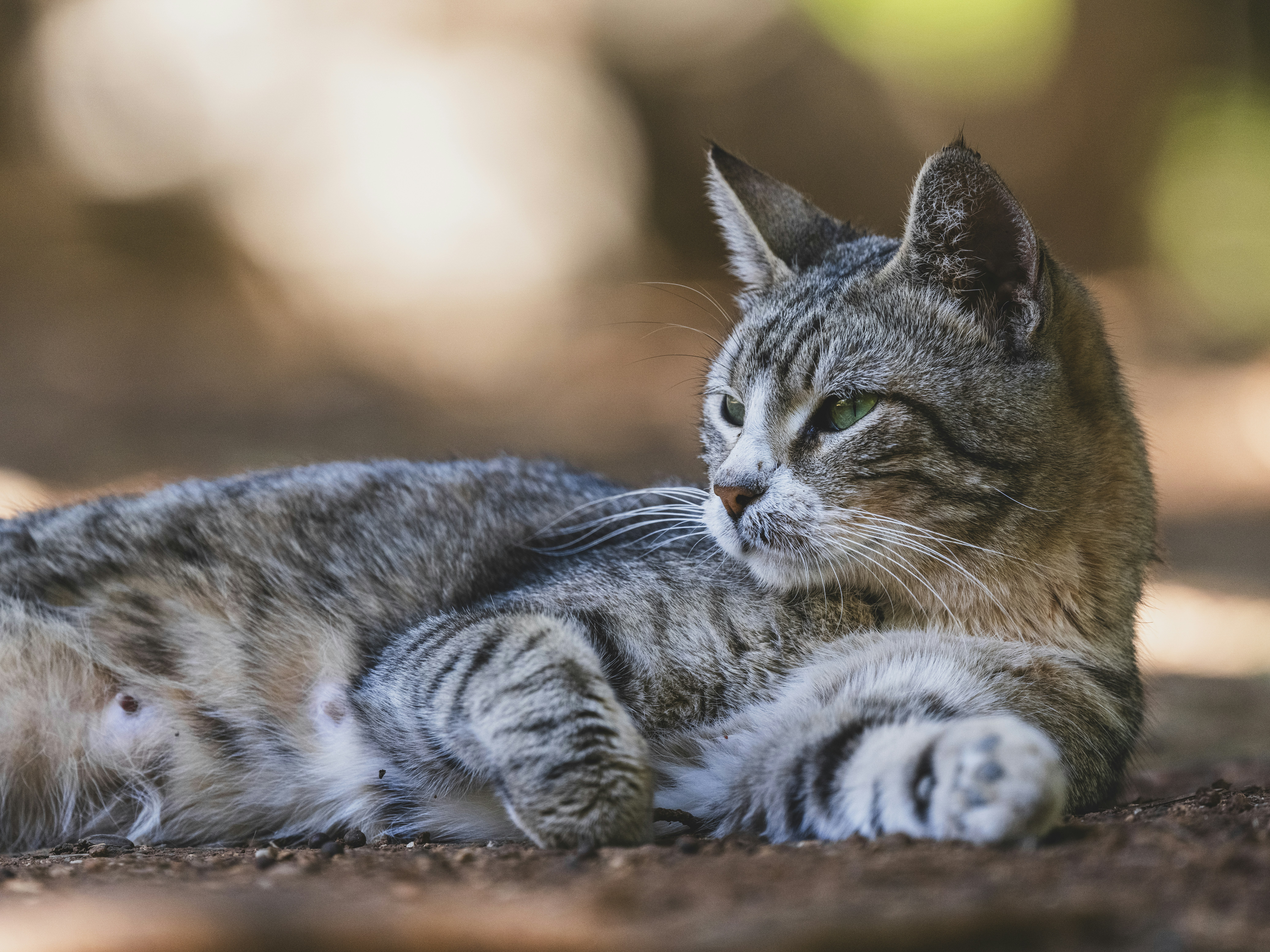 Photo by enginakyurt