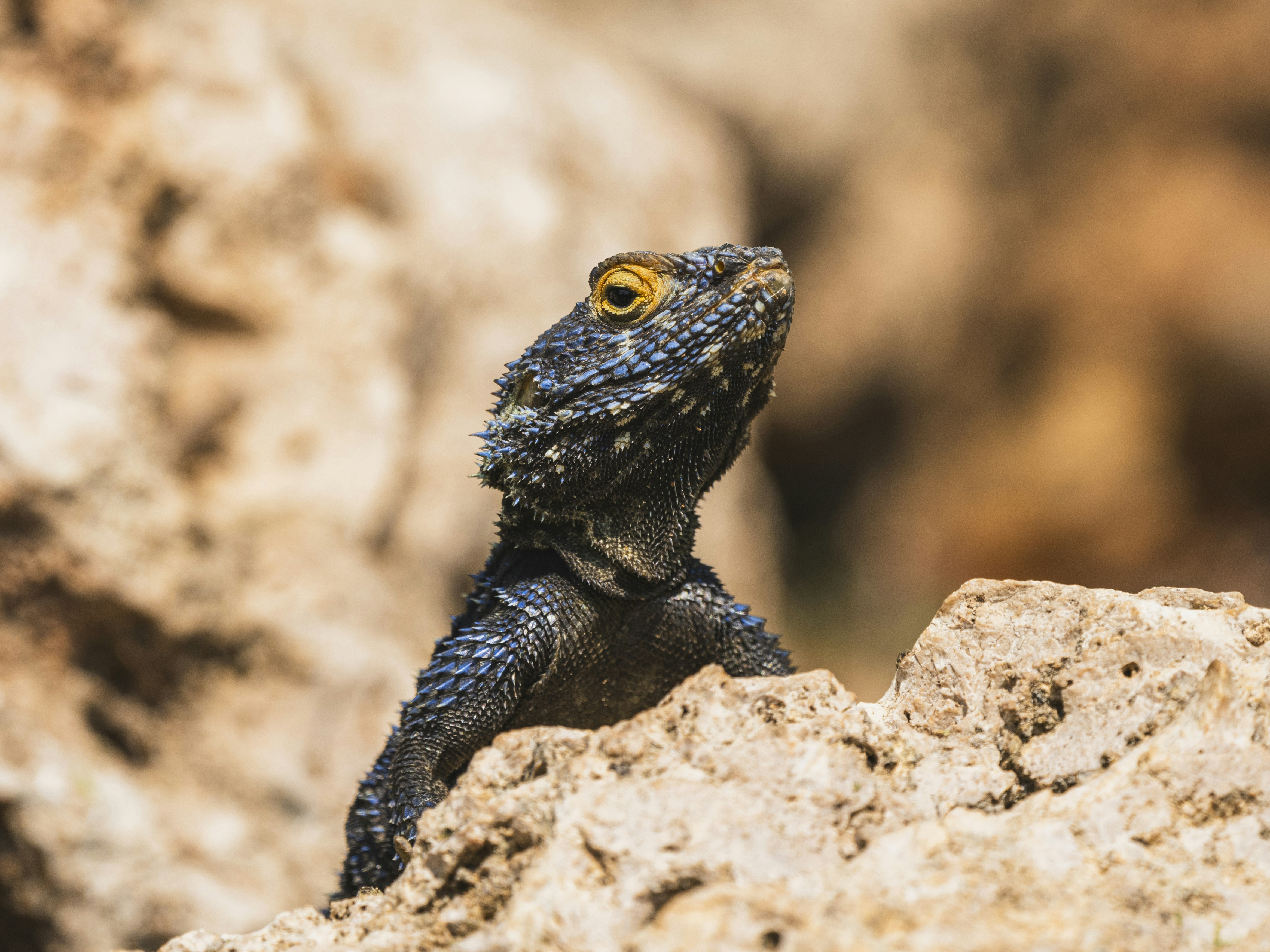 Photo by enginakyurt