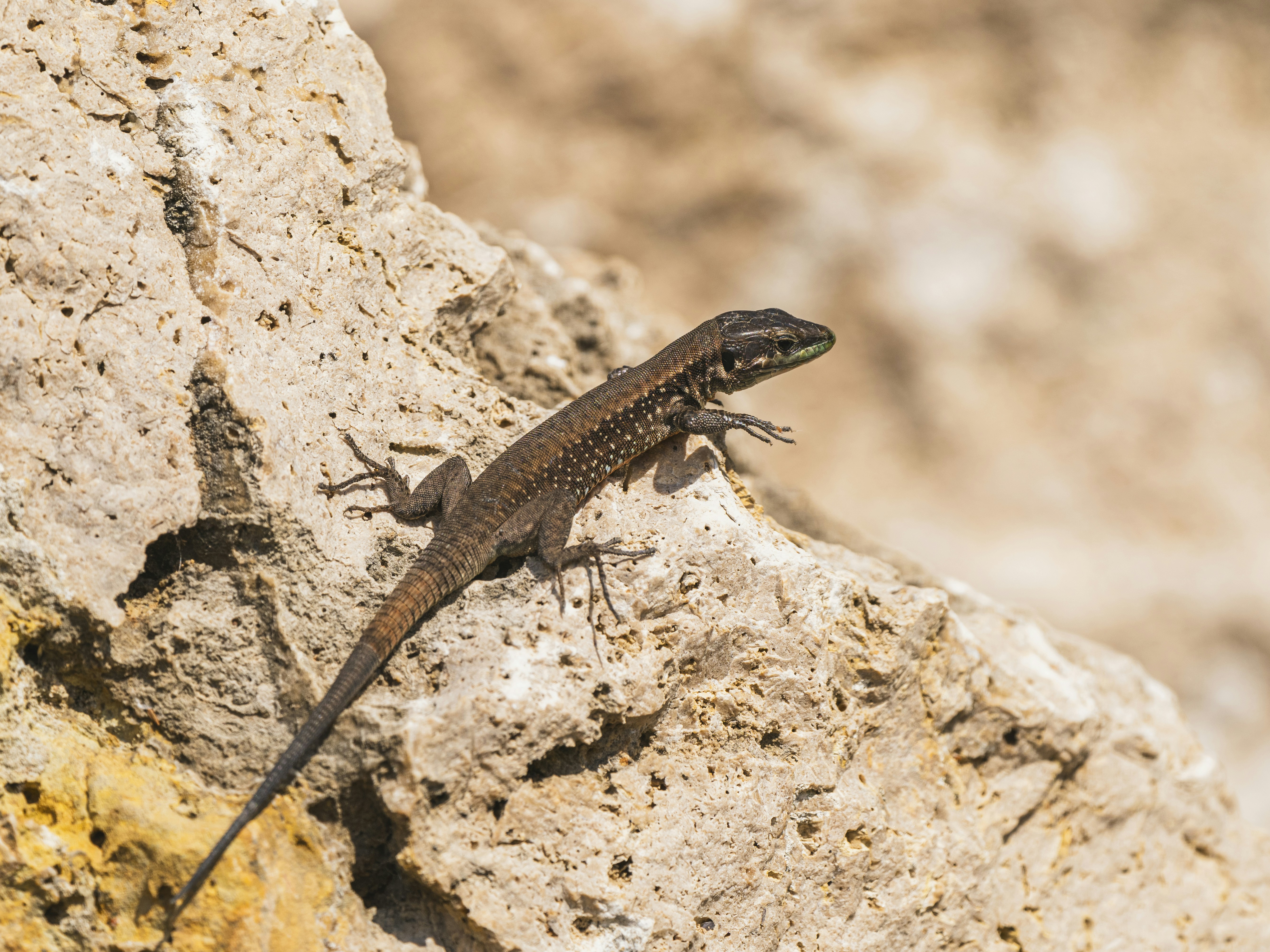 Photo by enginakyurt