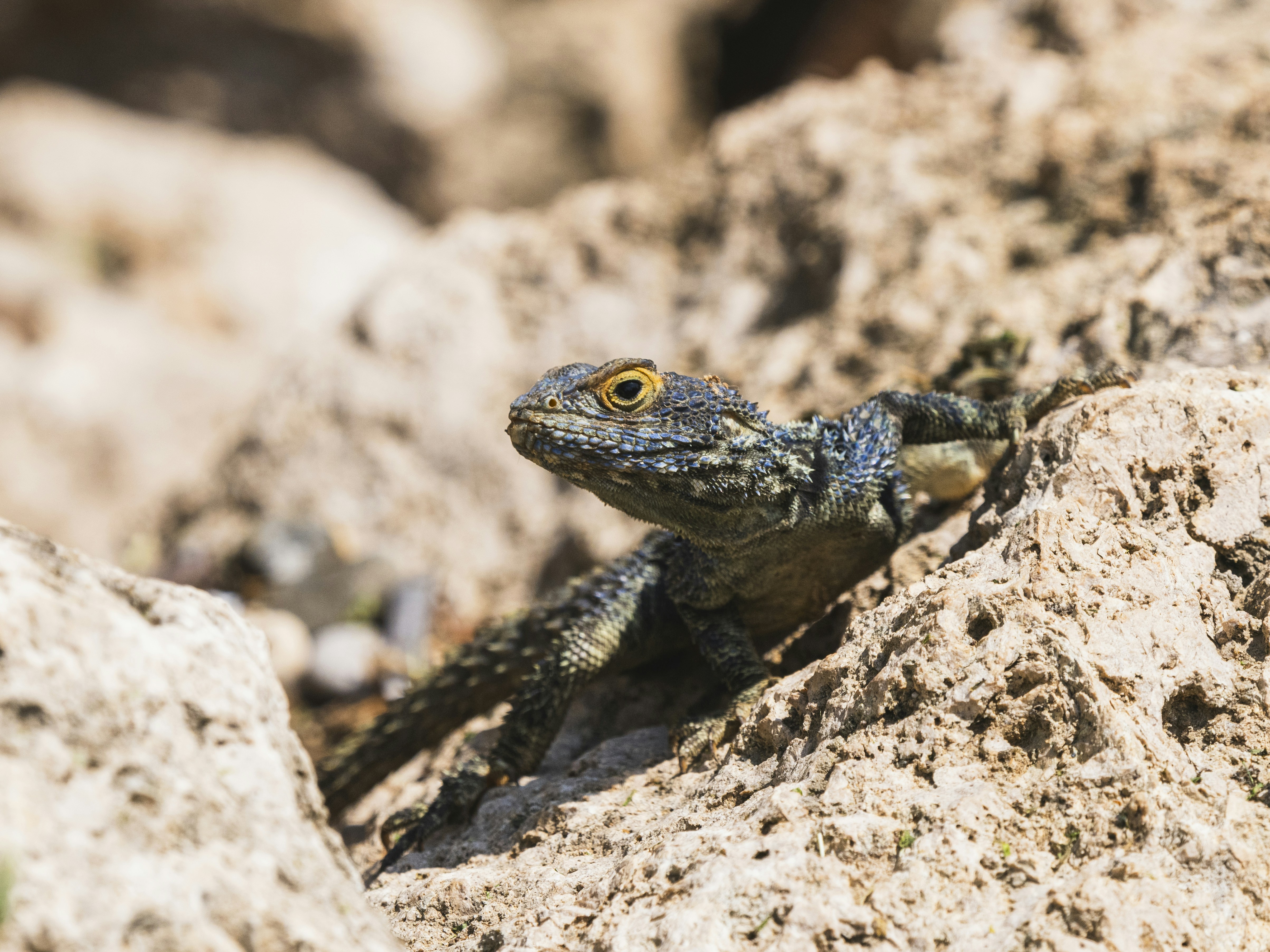 Photo by enginakyurt