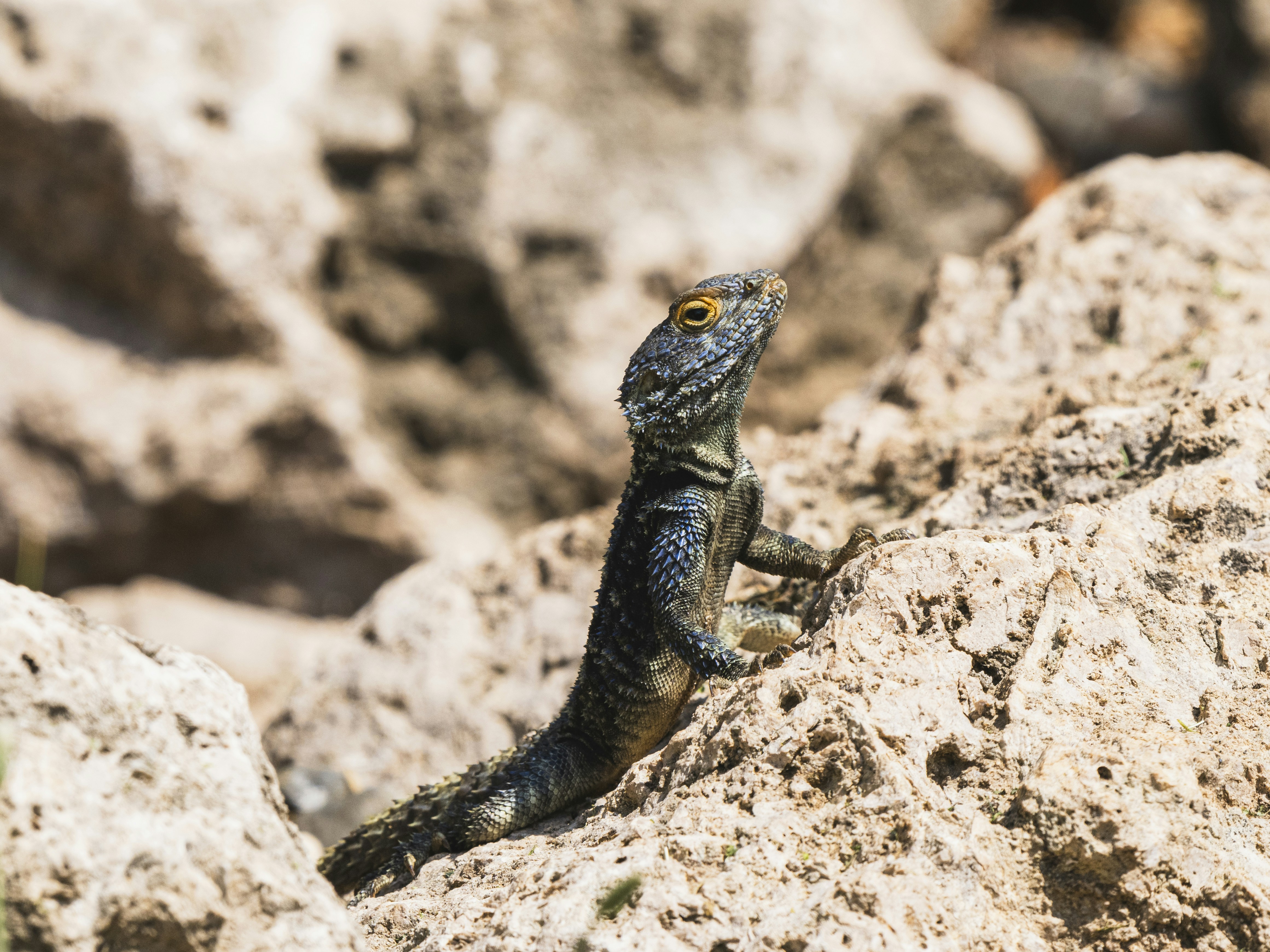 Photo by enginakyurt