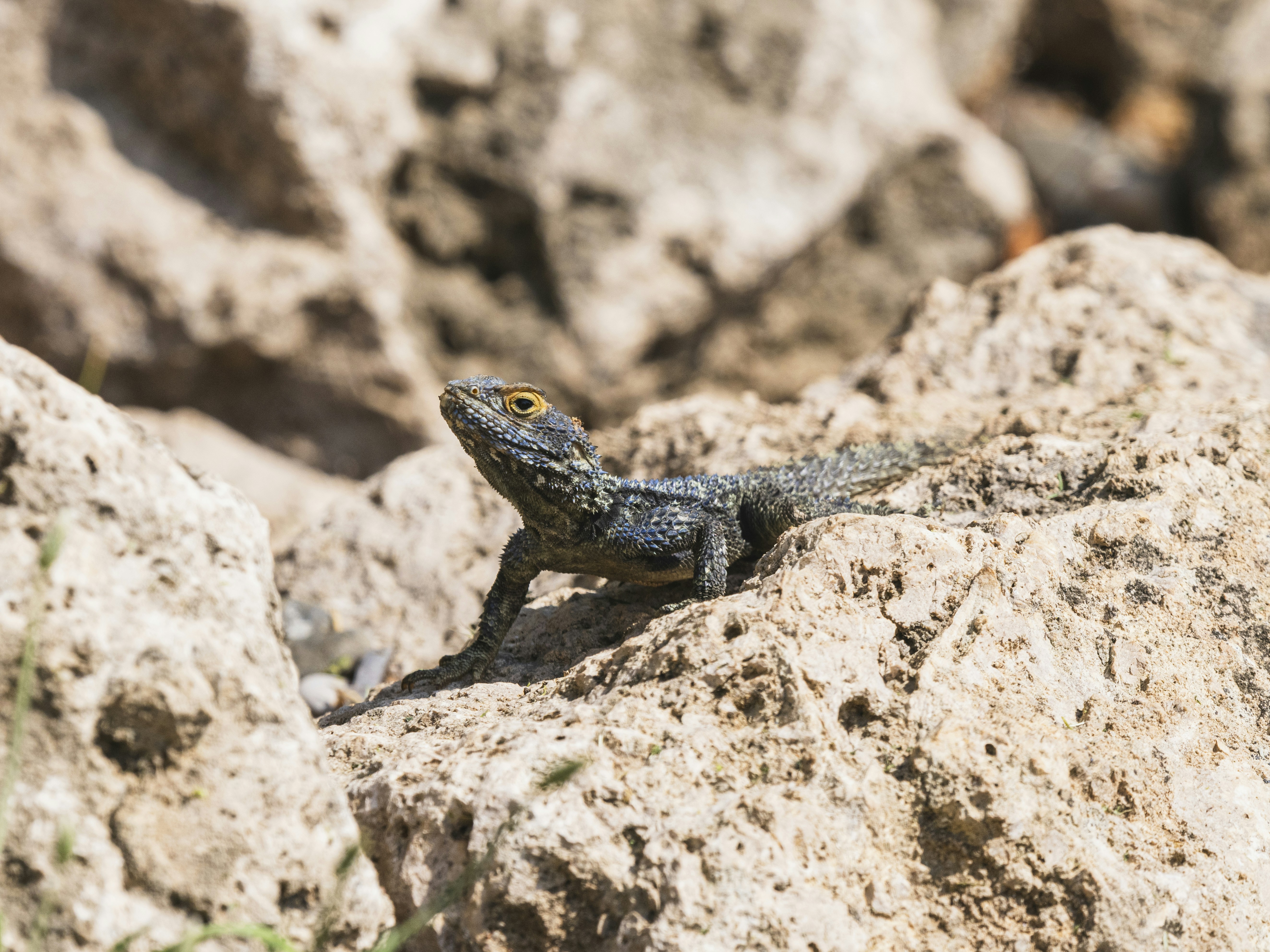 Photo by enginakyurt