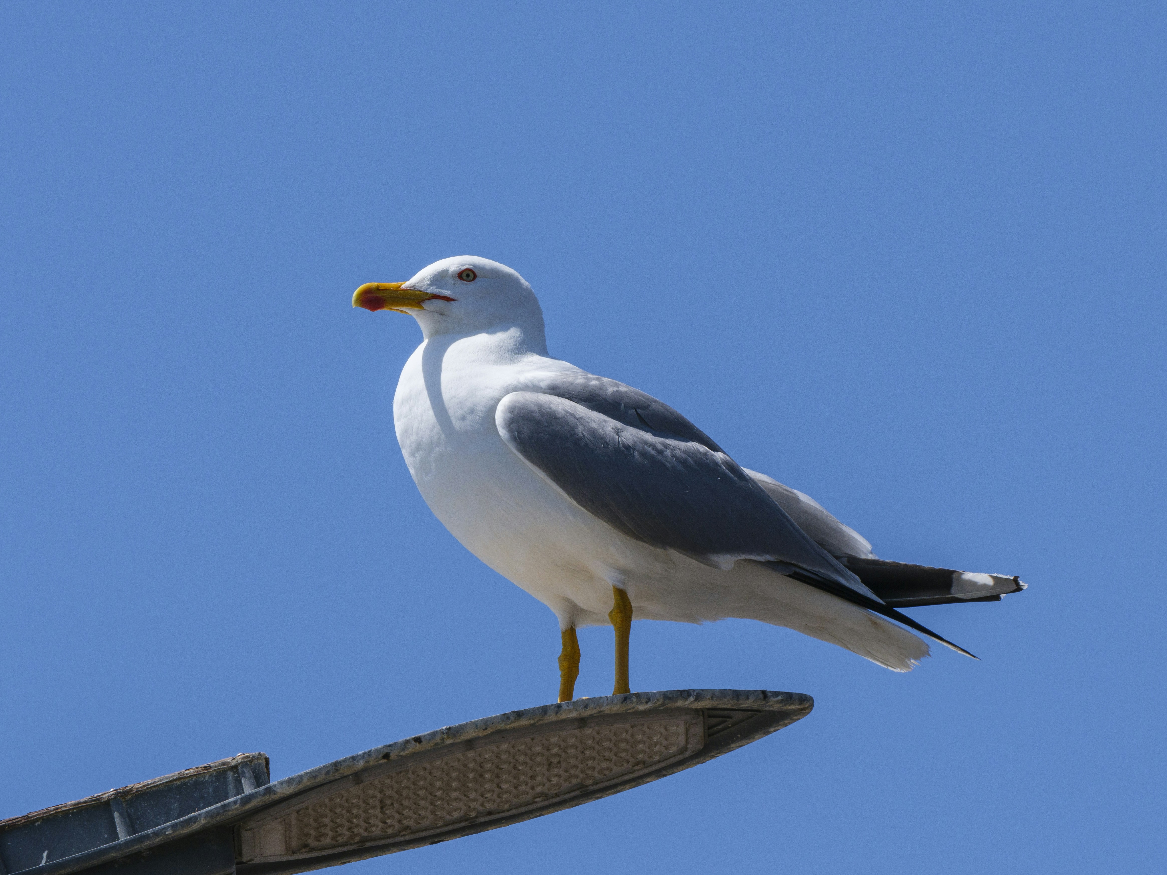 Photo by enginakyurt