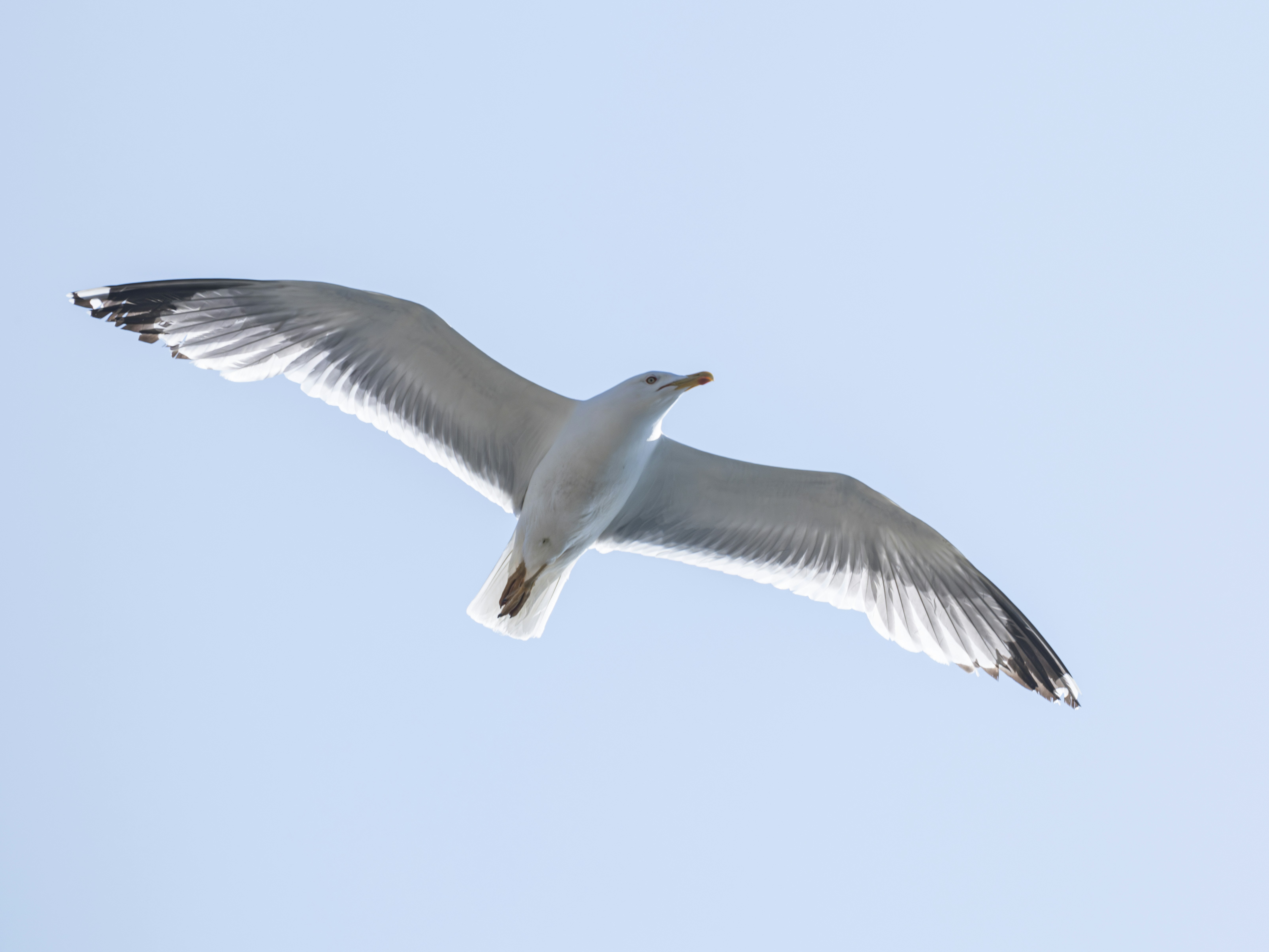 Photo by enginakyurt