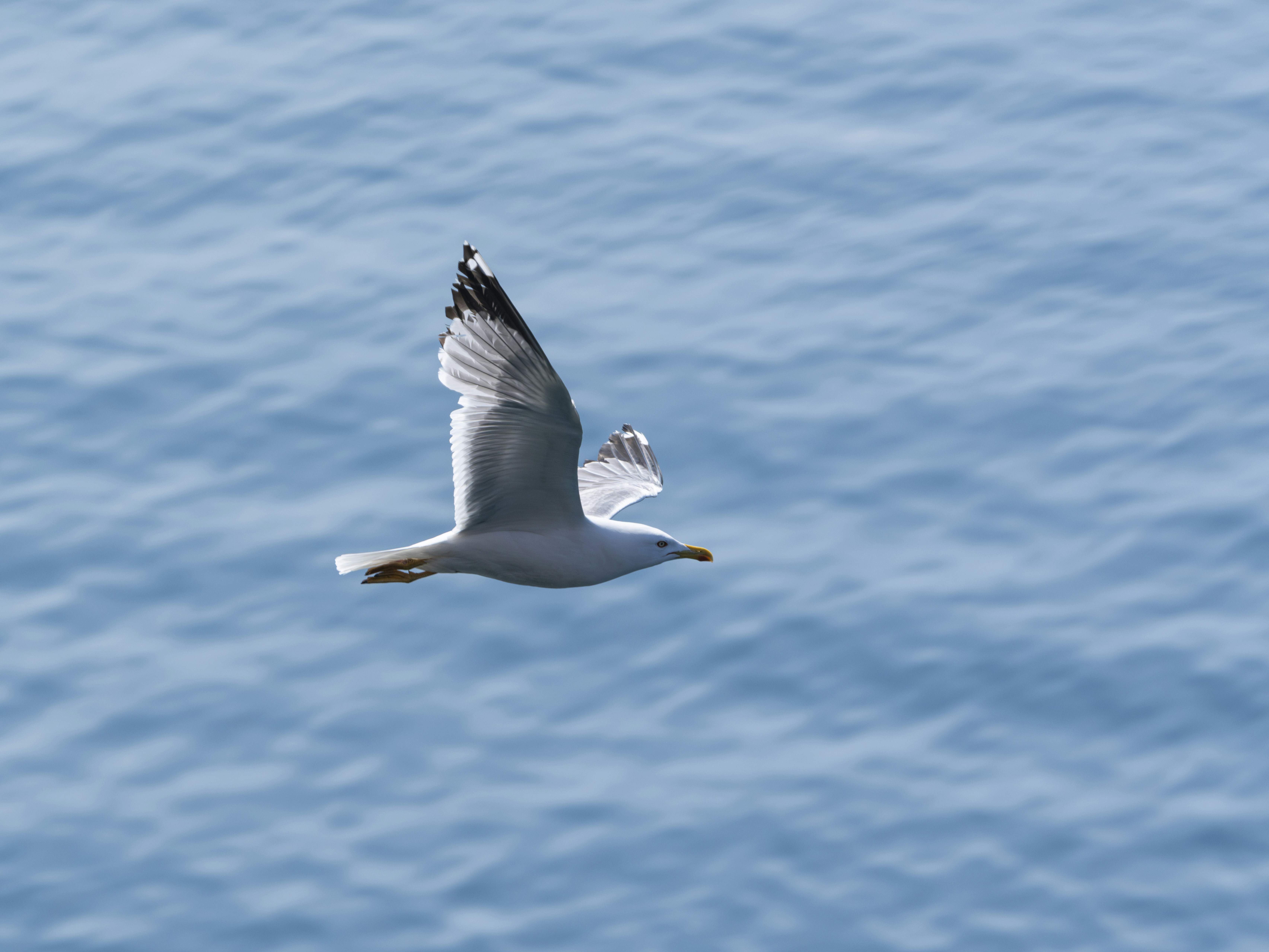 Photo by enginakyurt