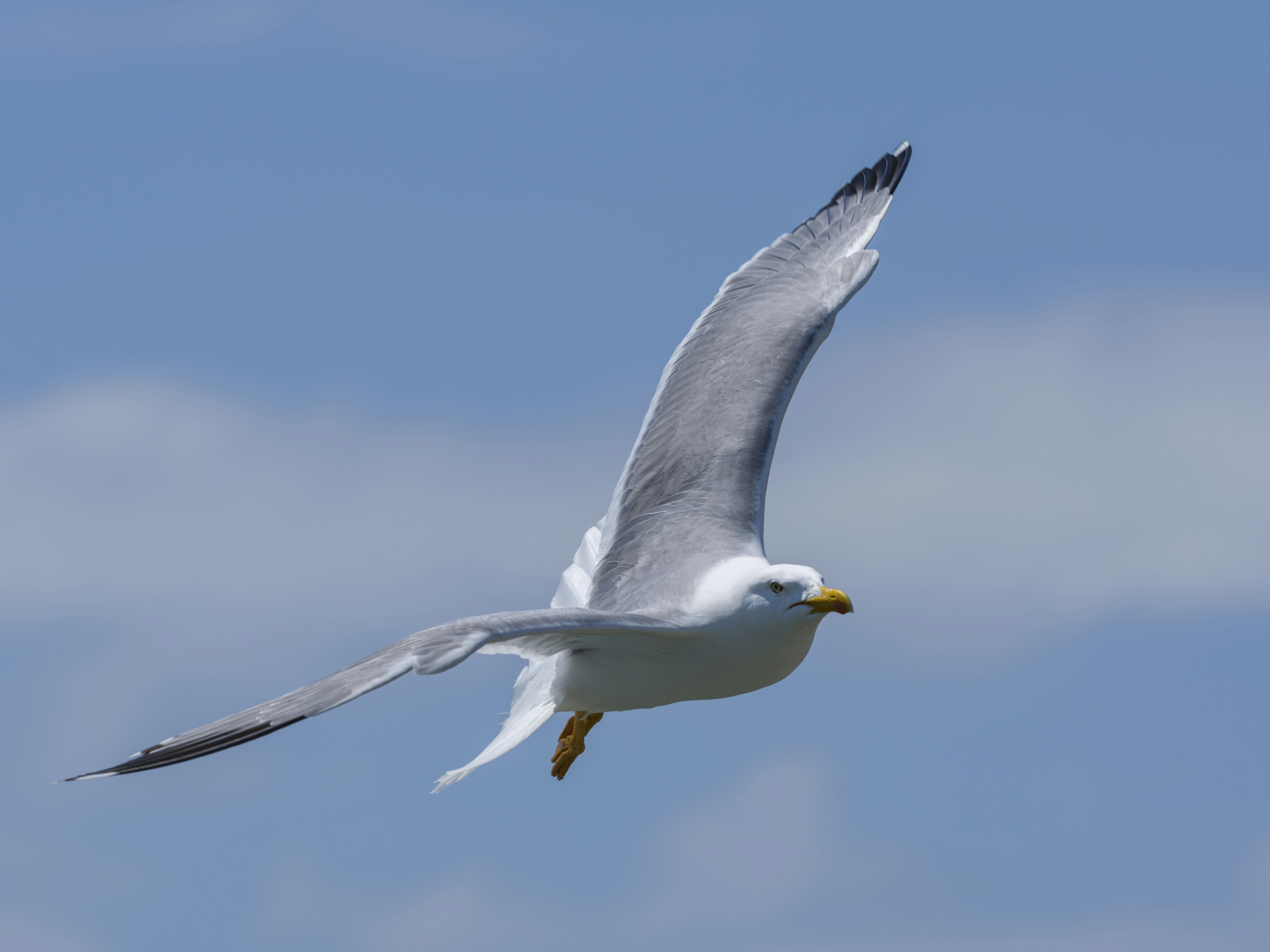 Photo by enginakyurt