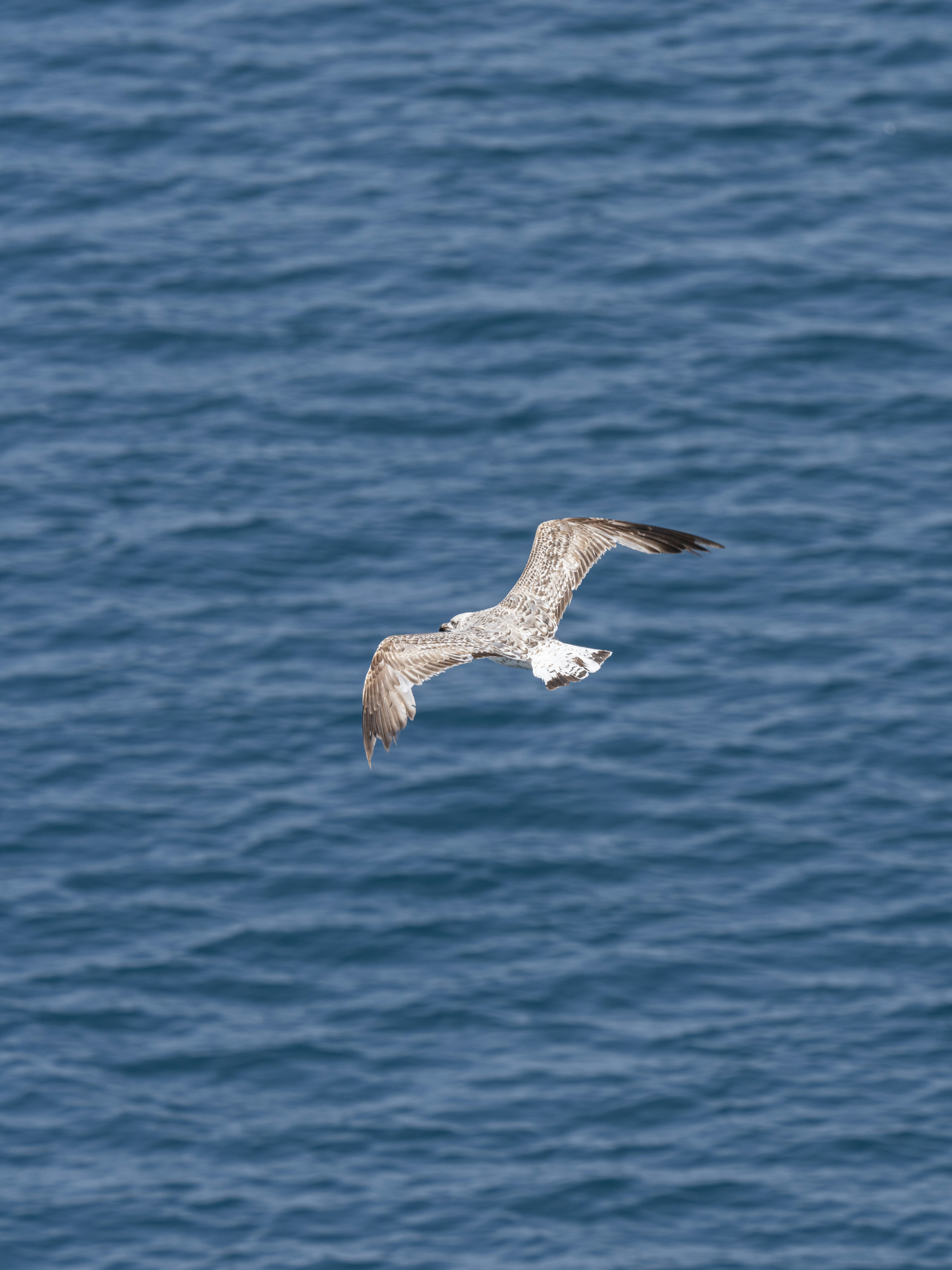 Photo by enginakyurt