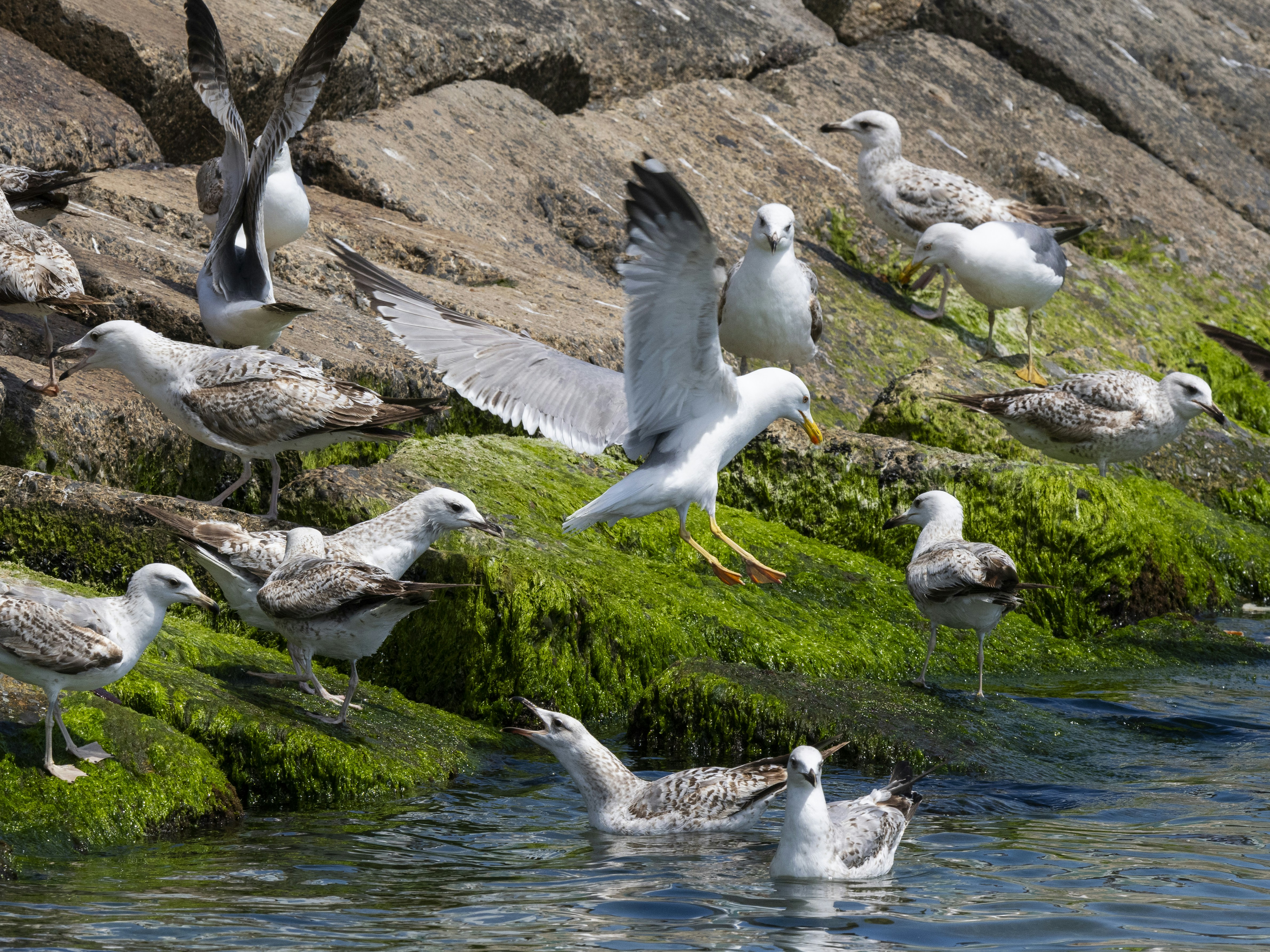 Photo by enginakyurt