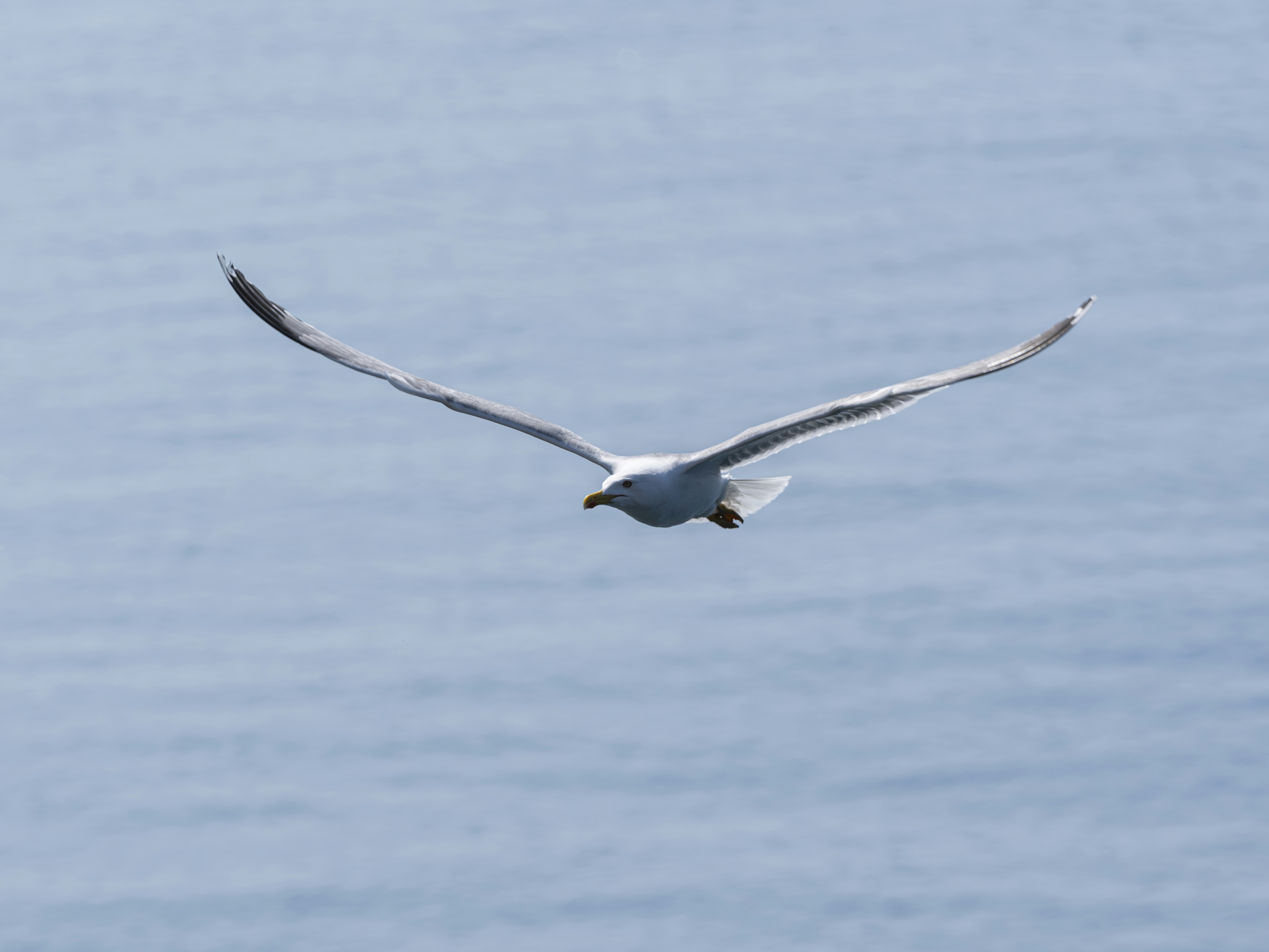 Photo by enginakyurt