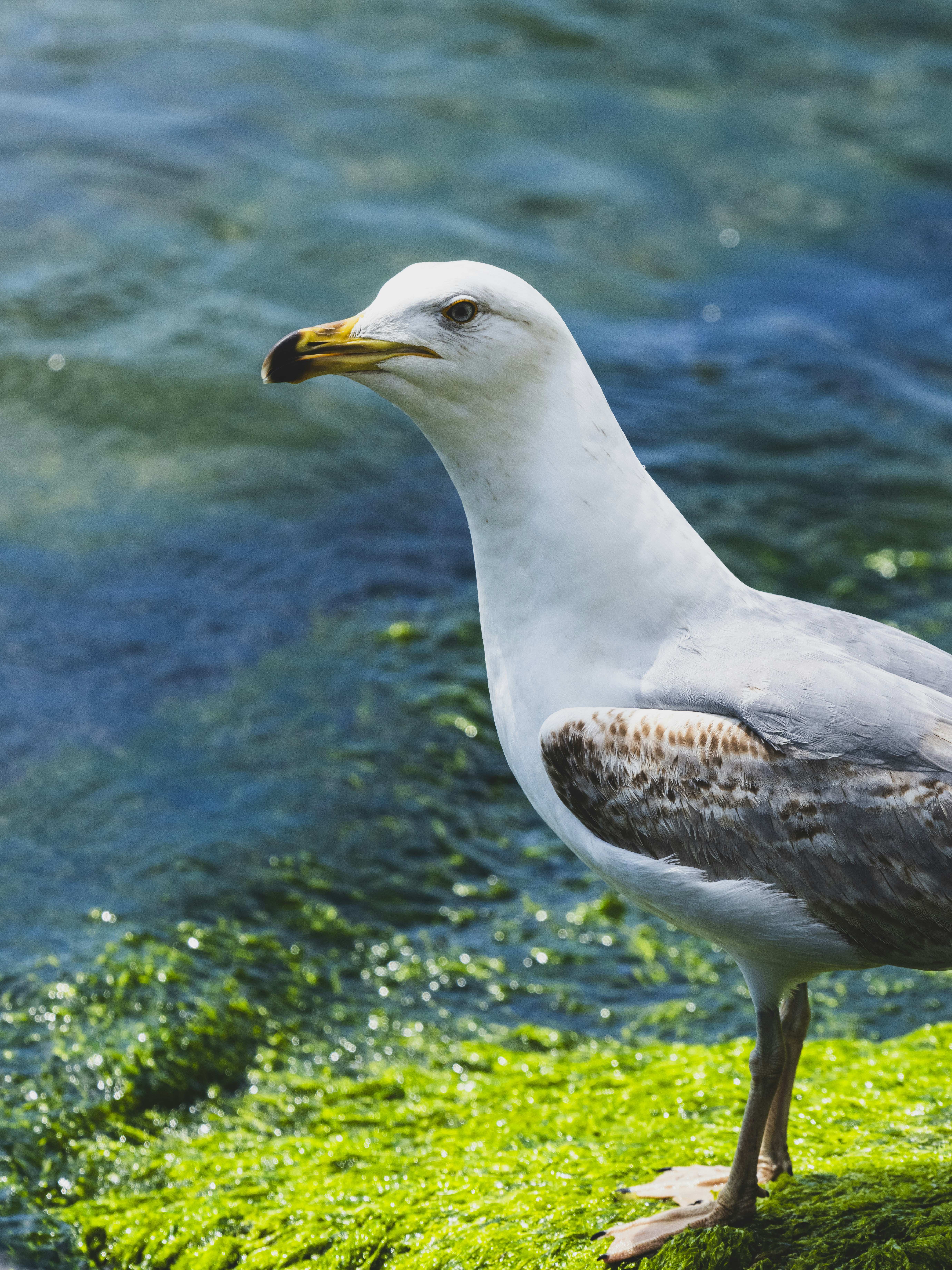 Photo by enginakyurt