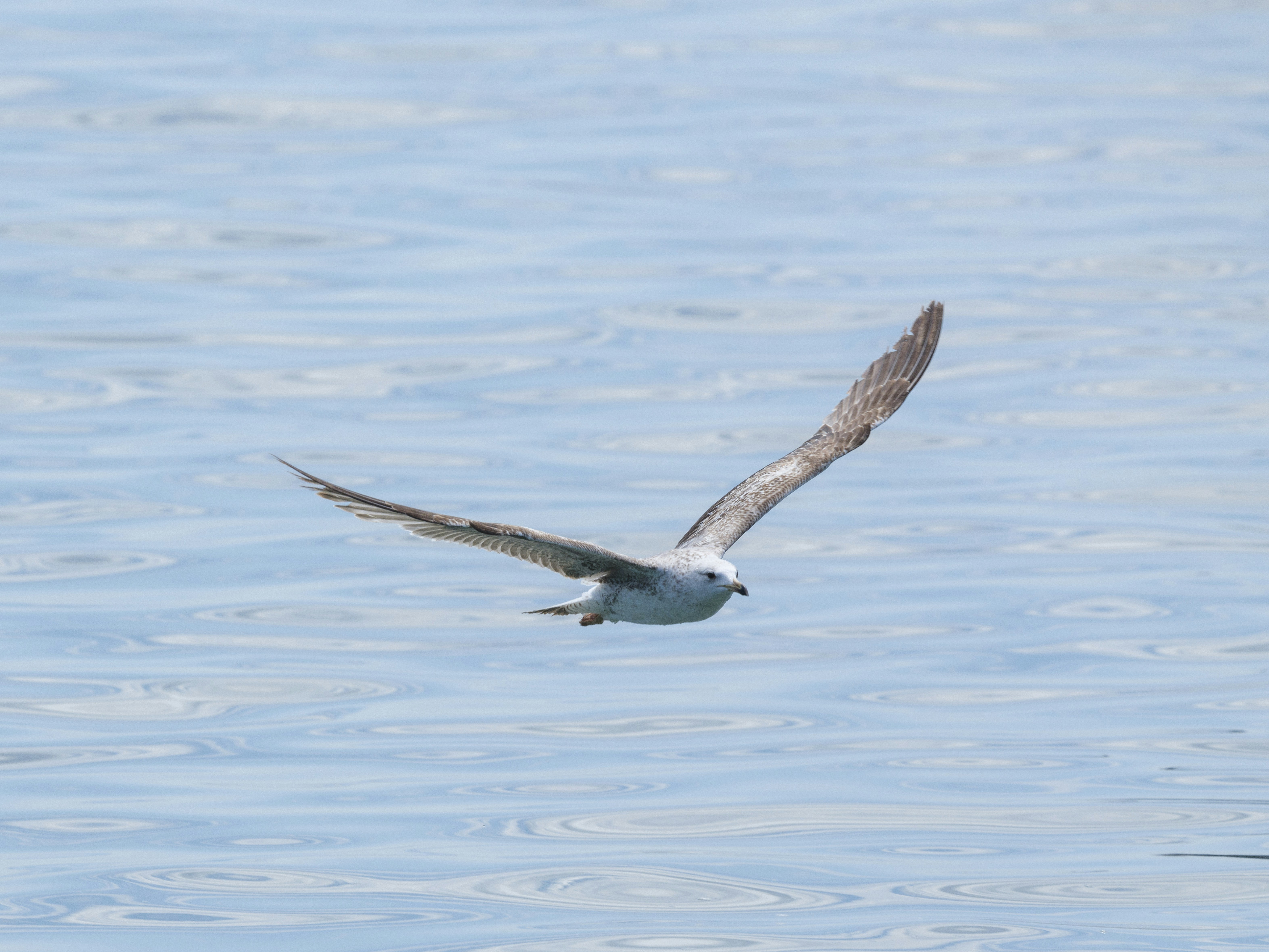 Photo by enginakyurt