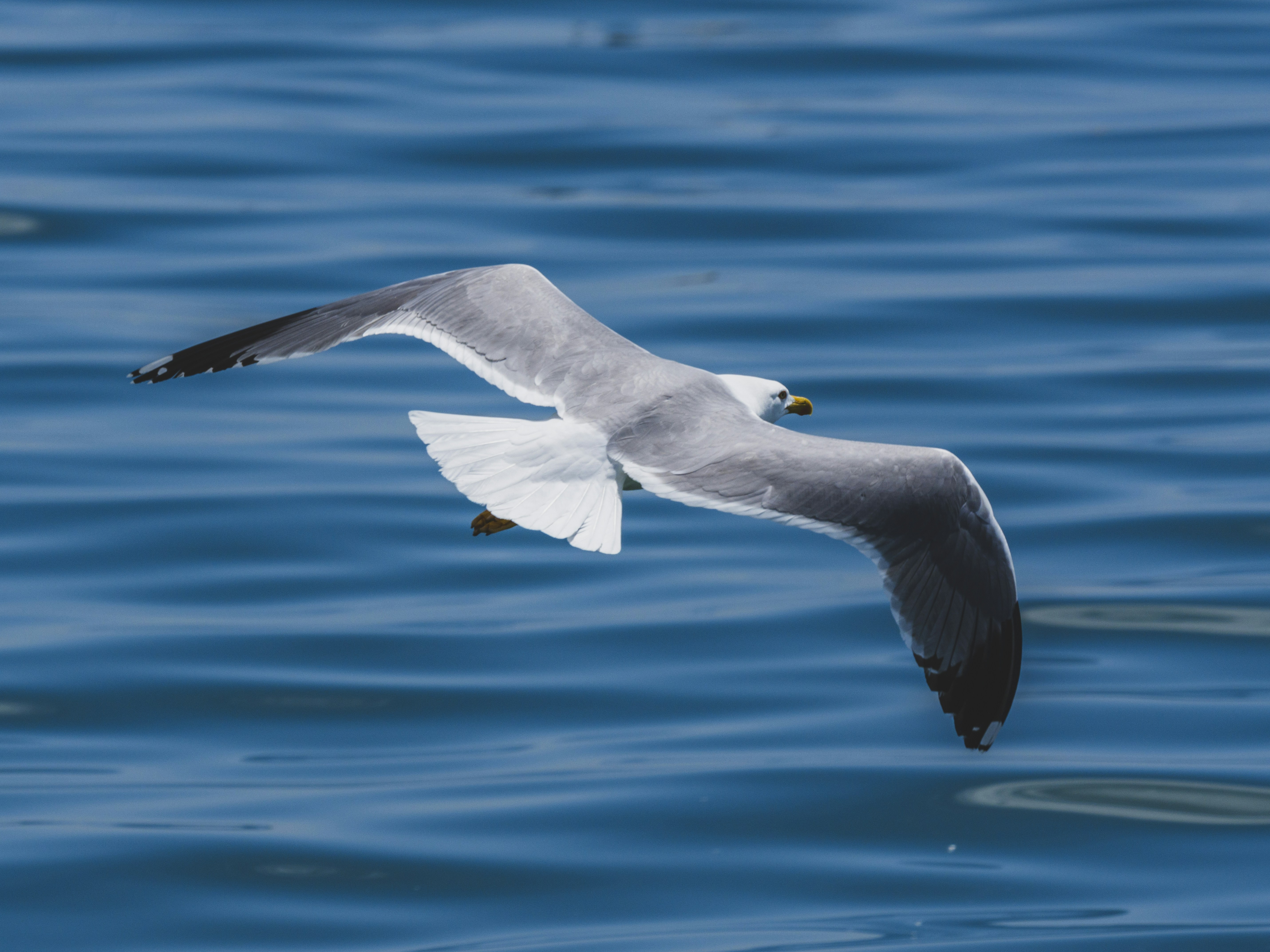 Photo by enginakyurt