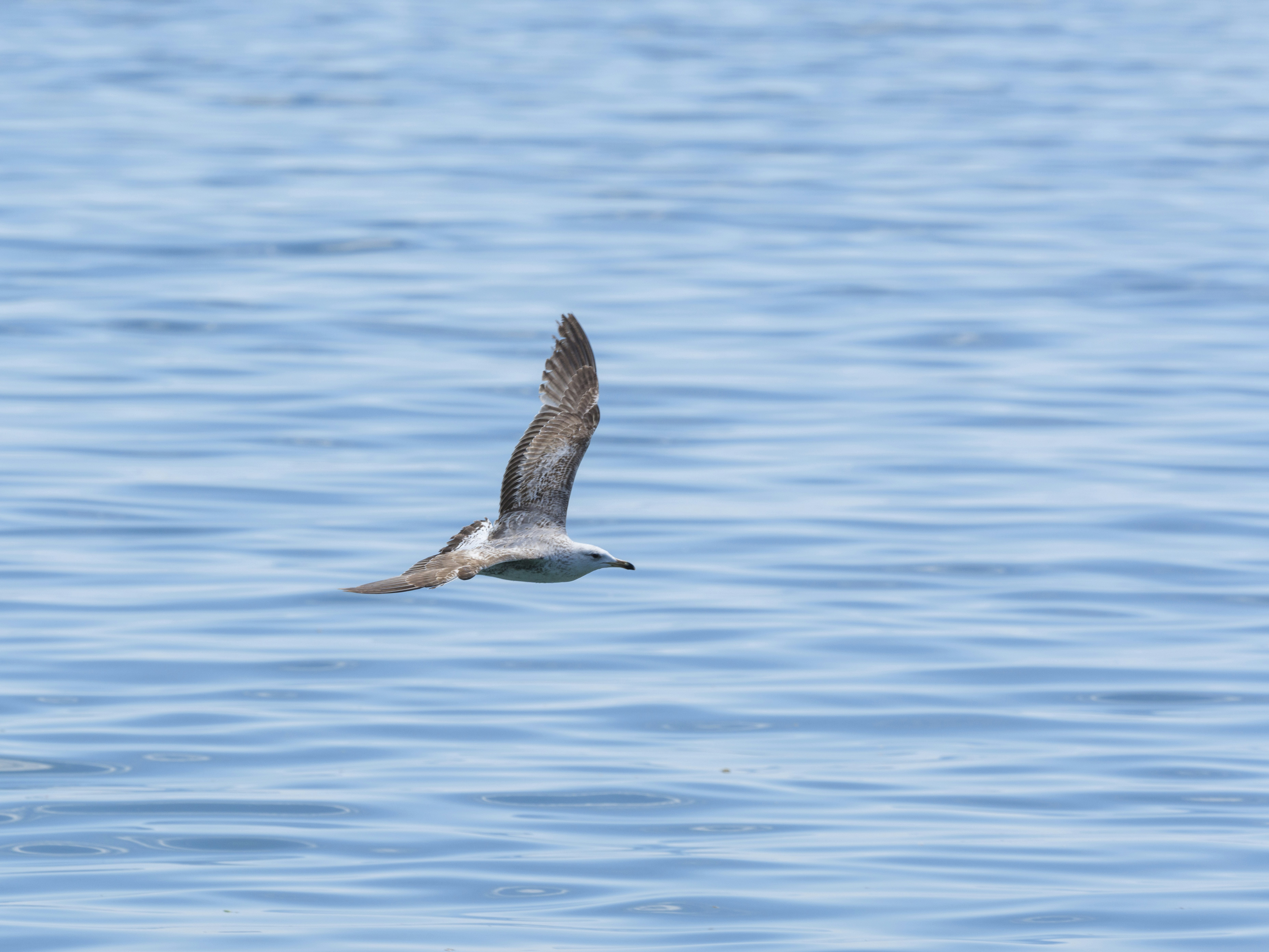 Photo by enginakyurt