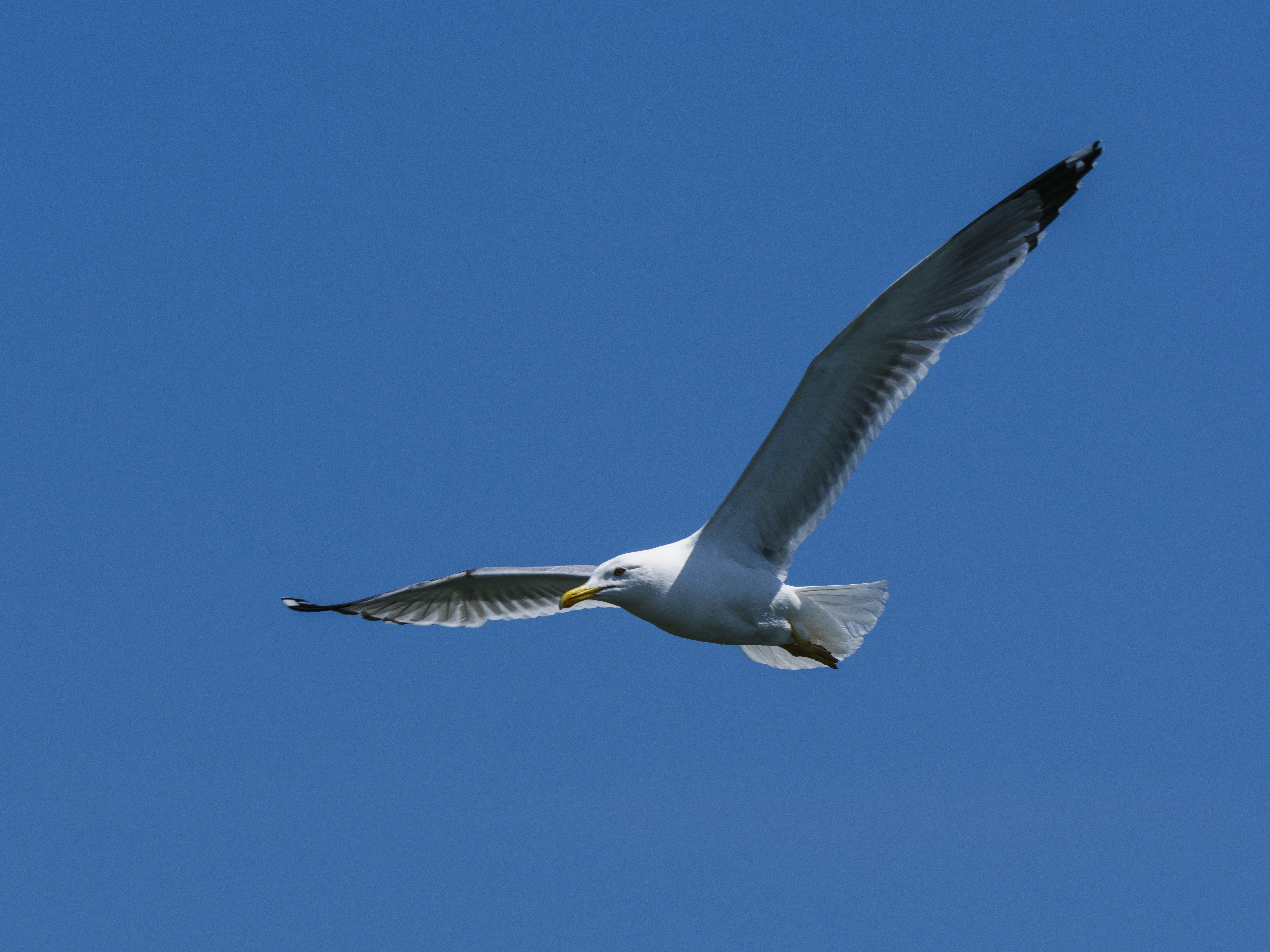 Photo by enginakyurt