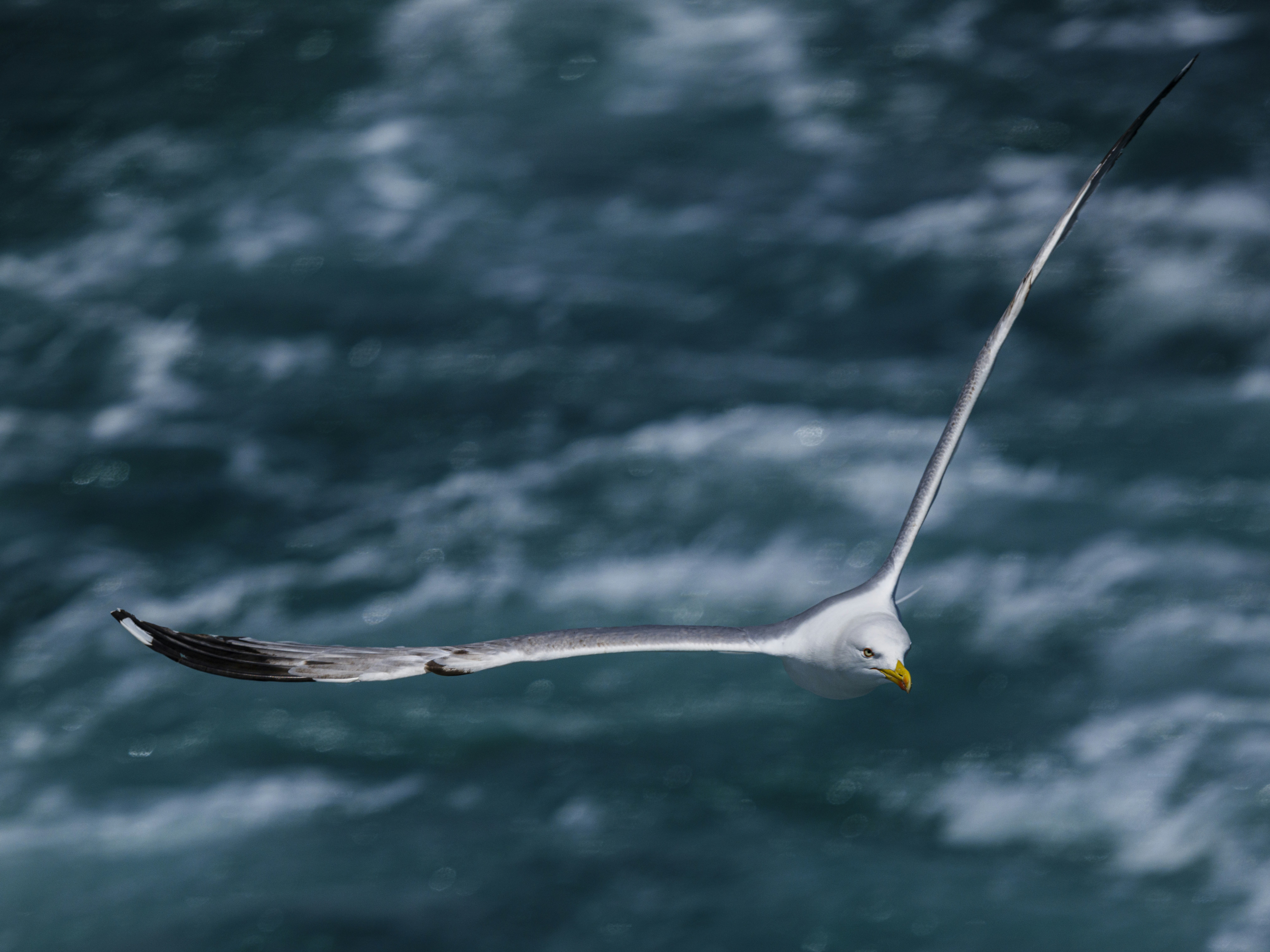 Photo by enginakyurt