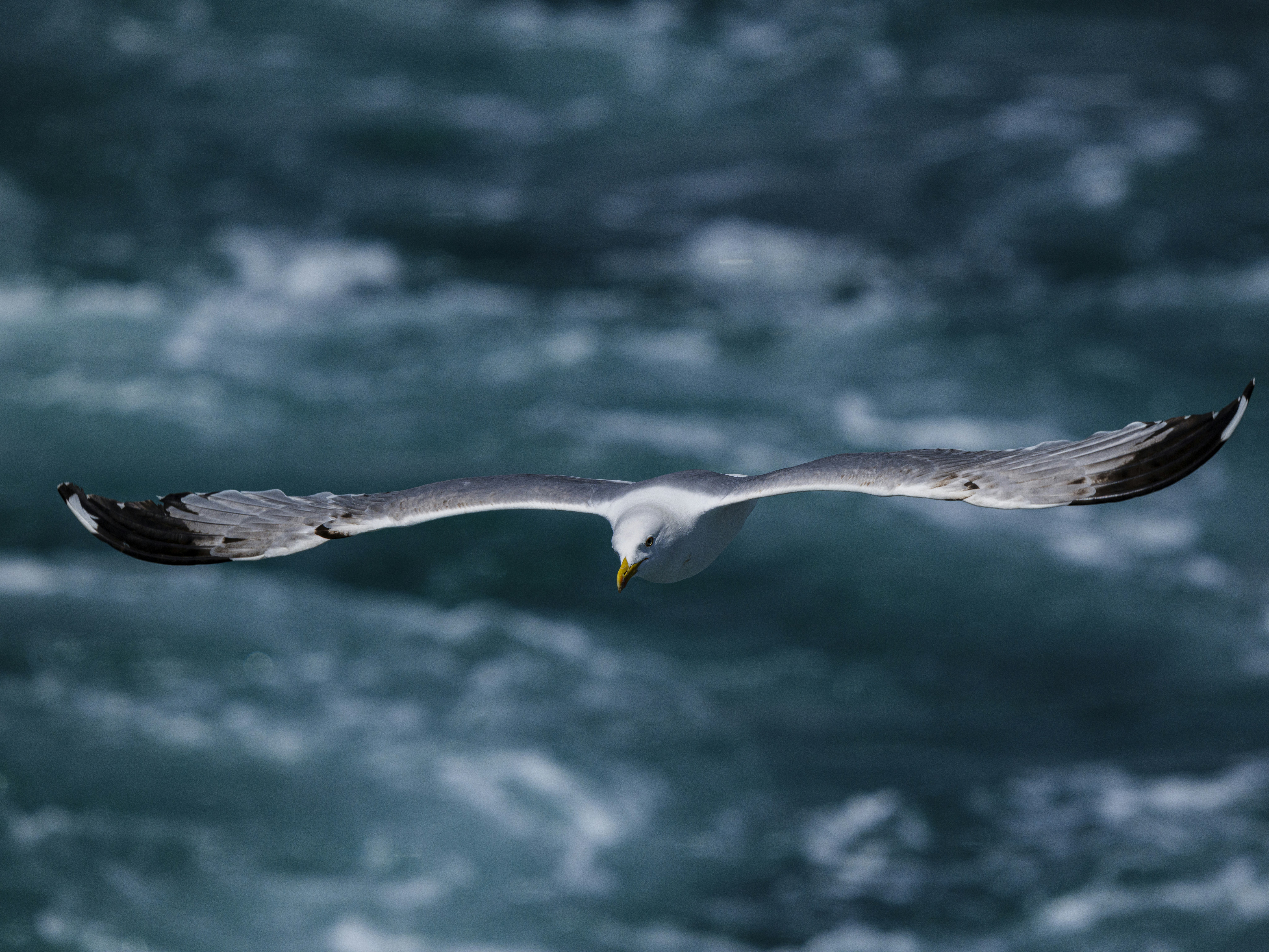 Photo by enginakyurt