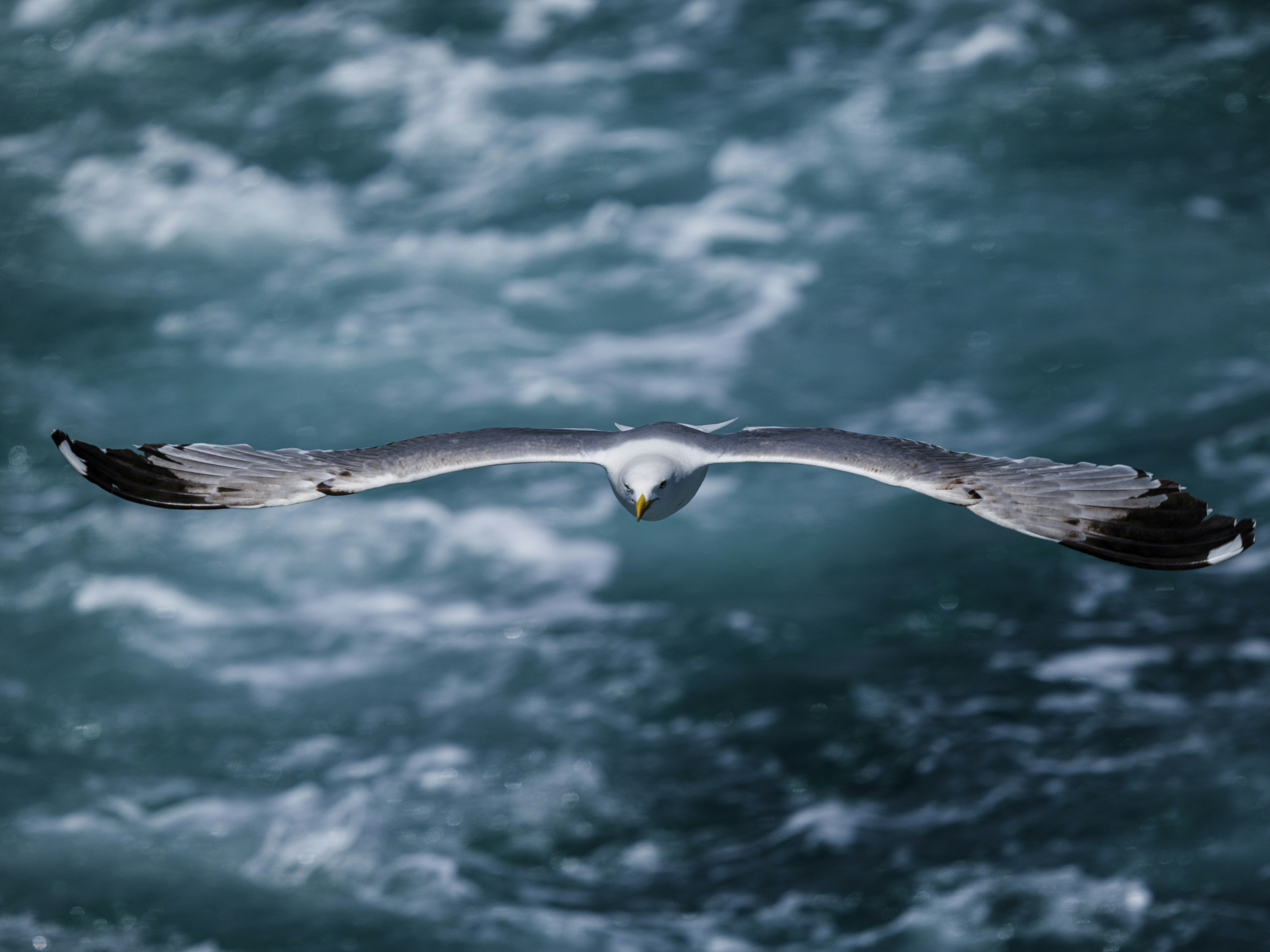 Photo by enginakyurt