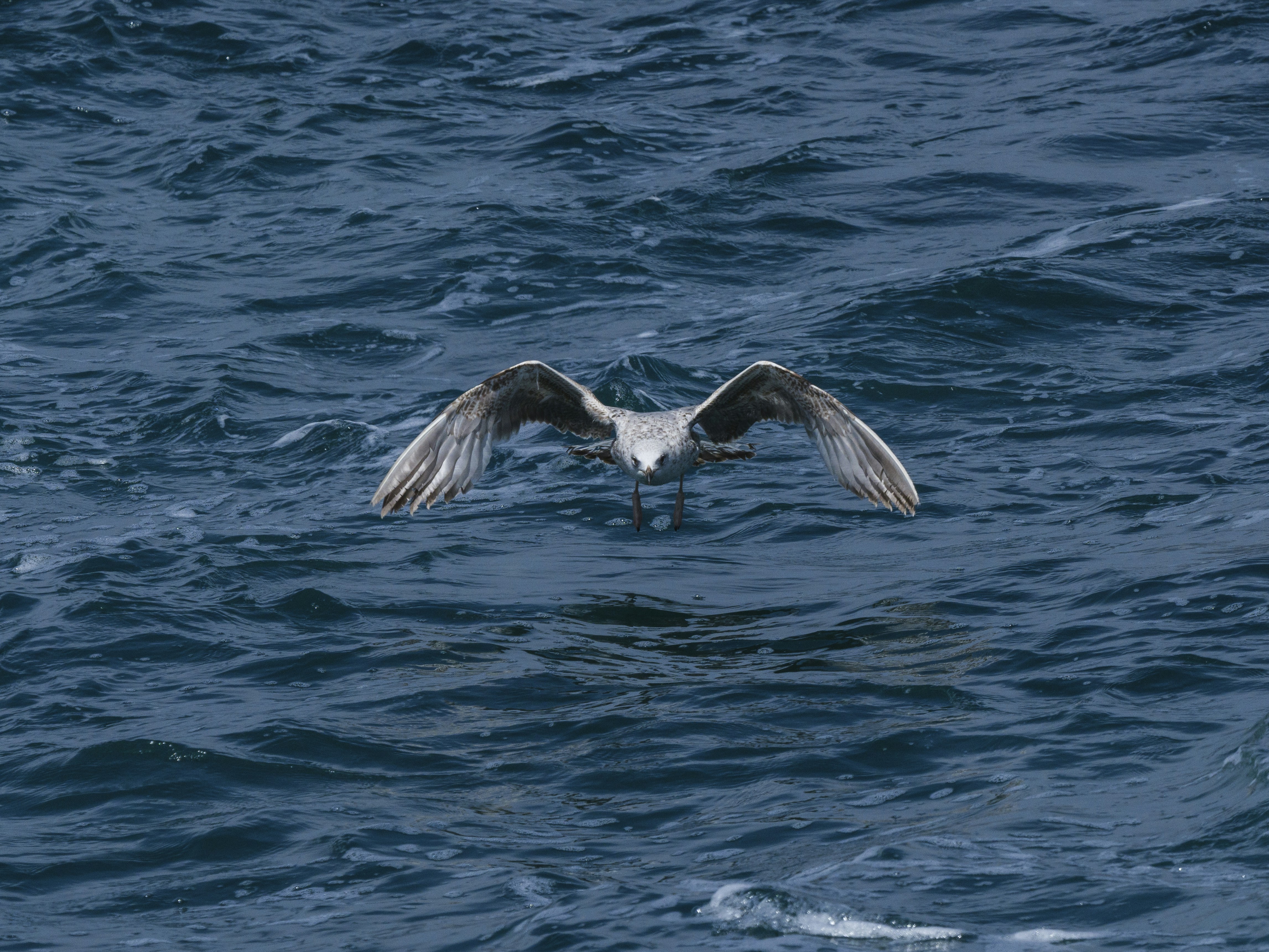 Photo by enginakyurt