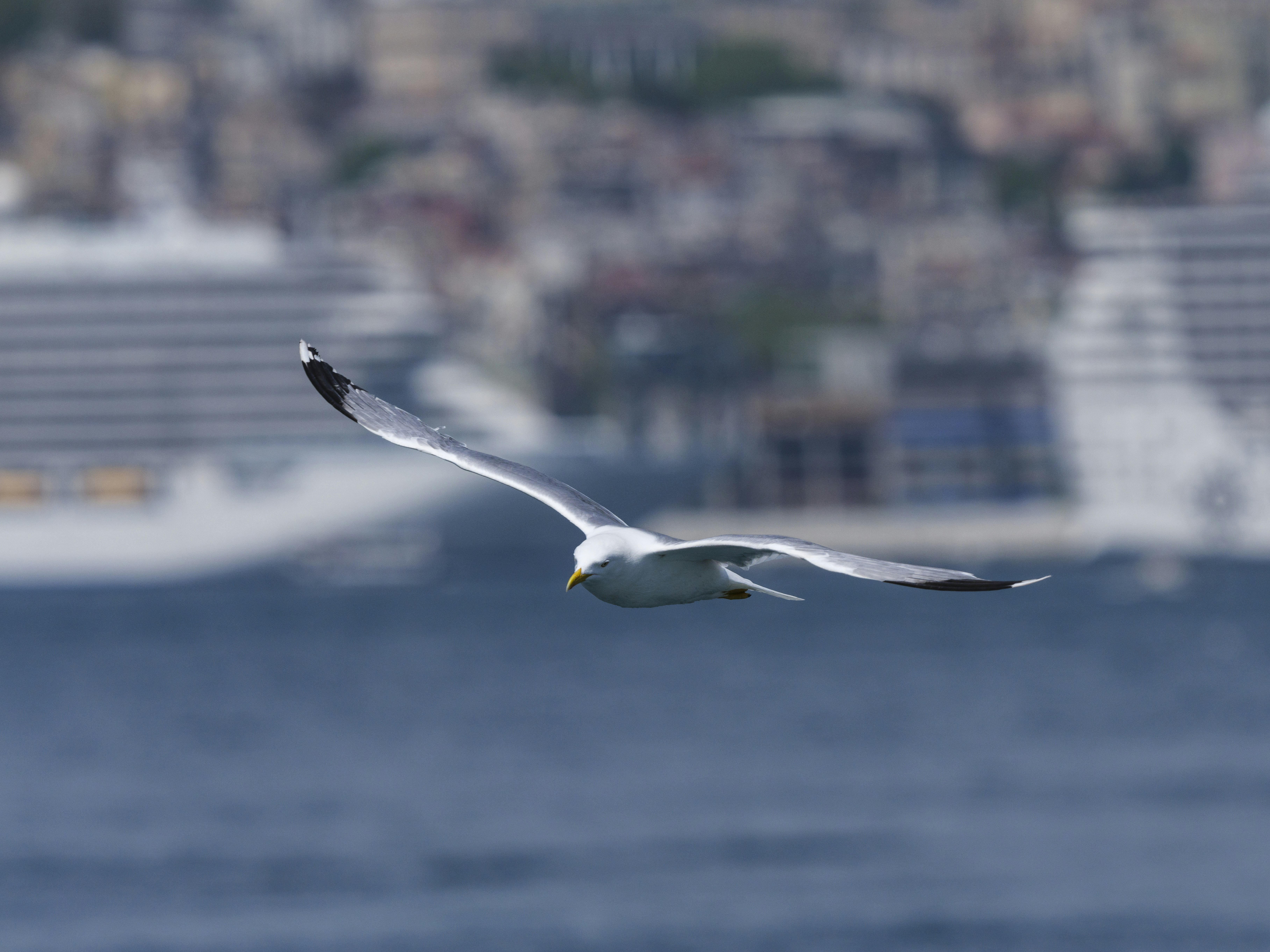 Photo by enginakyurt