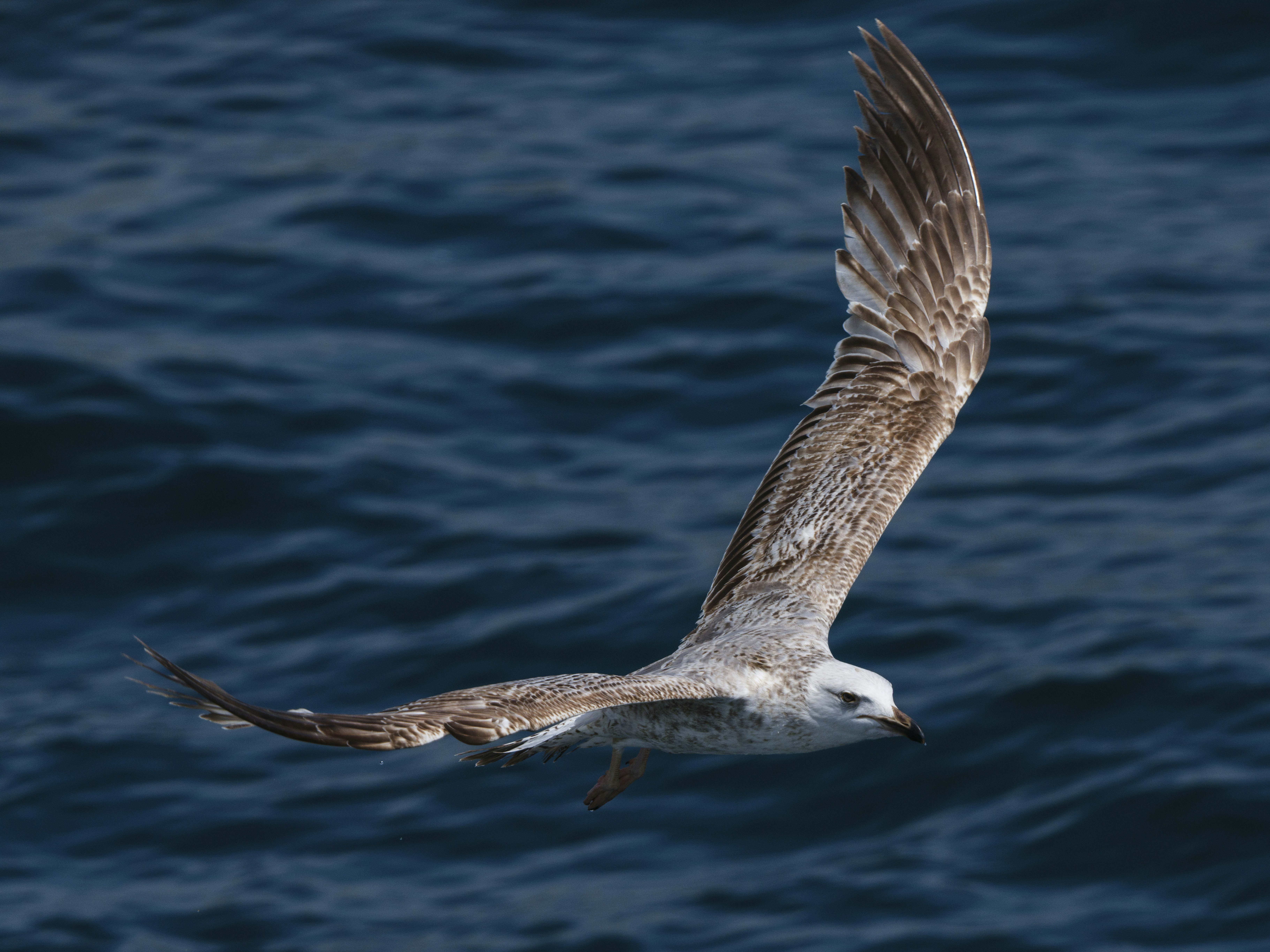 Photo by enginakyurt