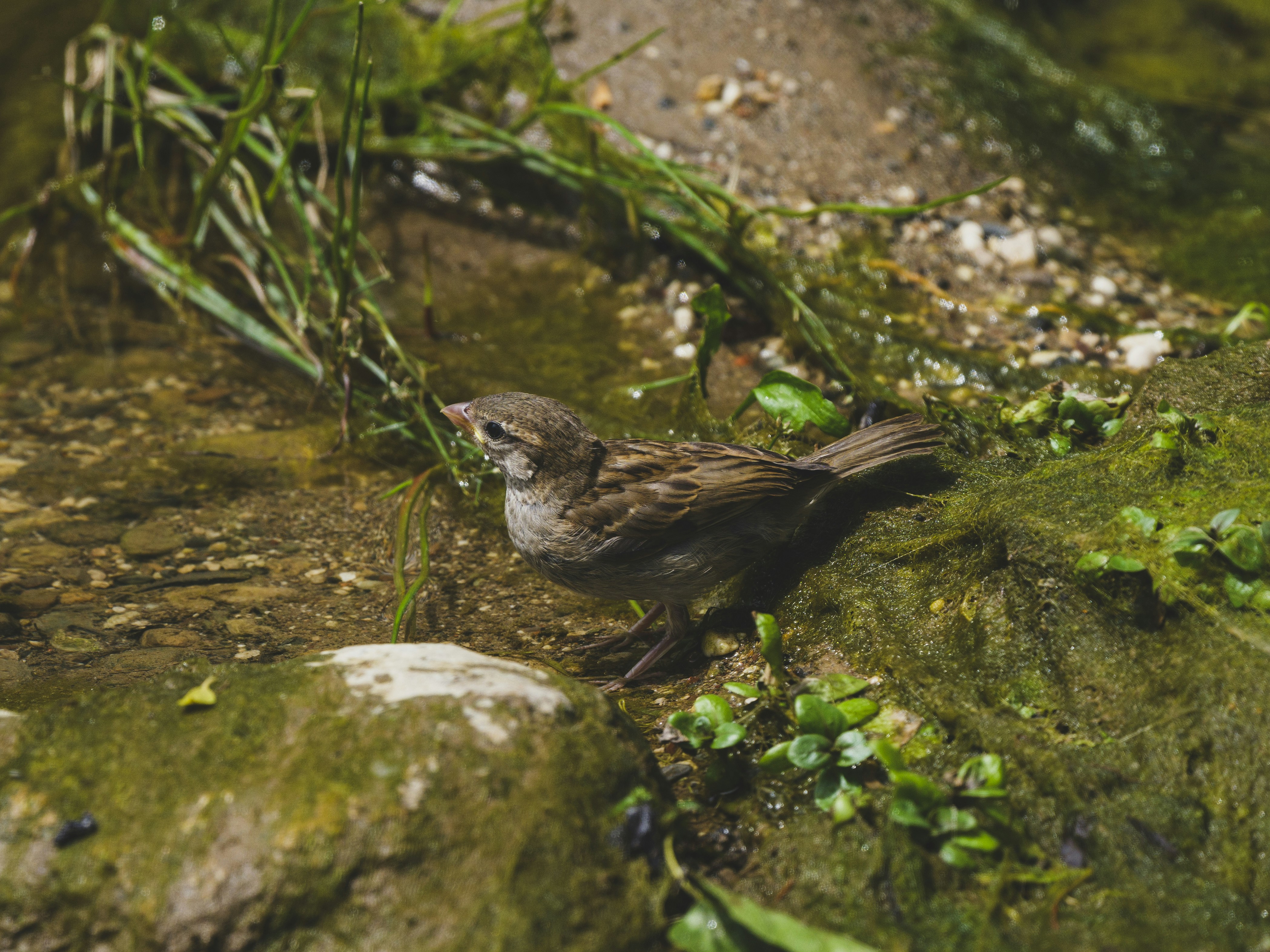 Photo by enginakyurt