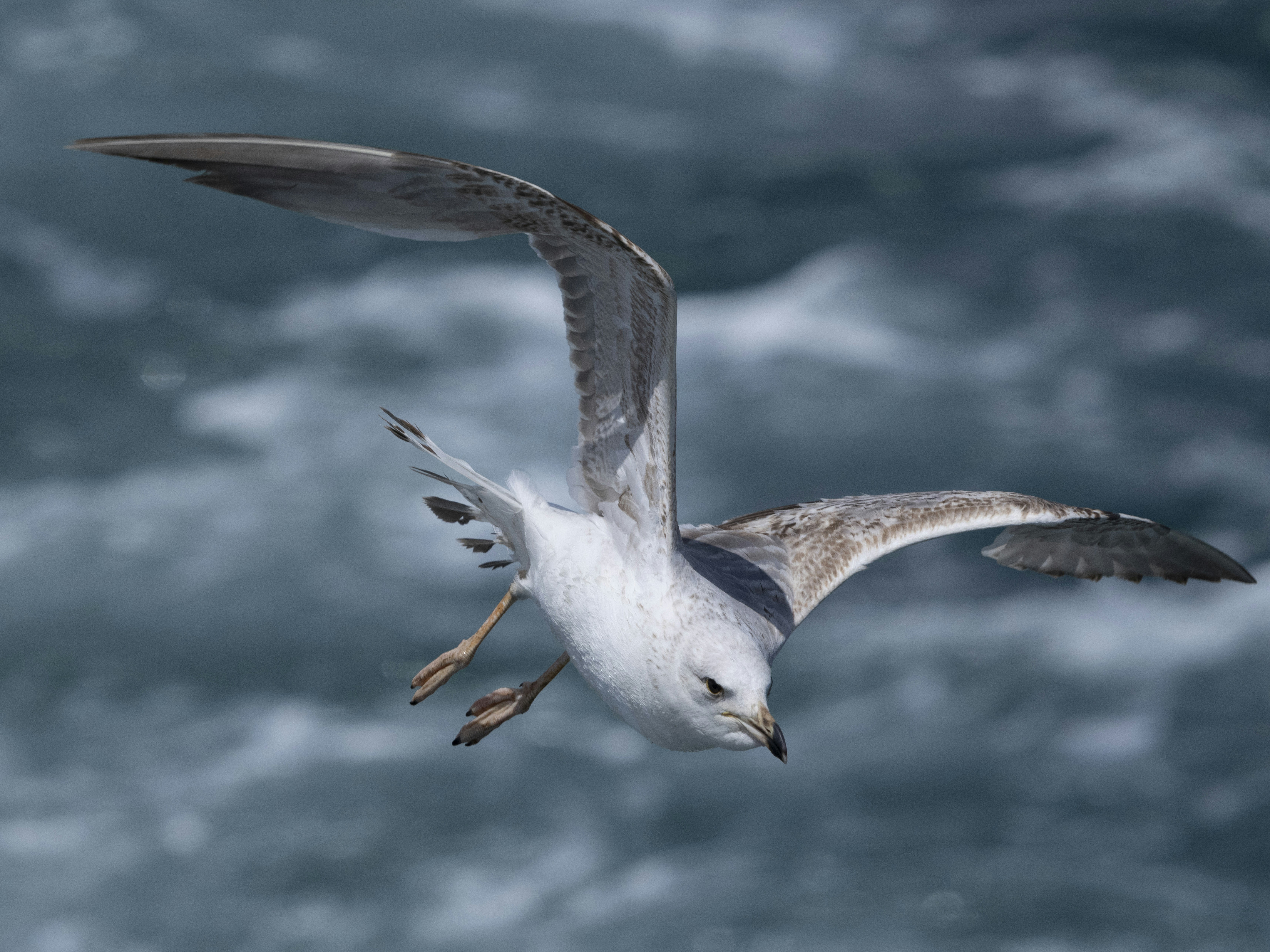 Photo by enginakyurt