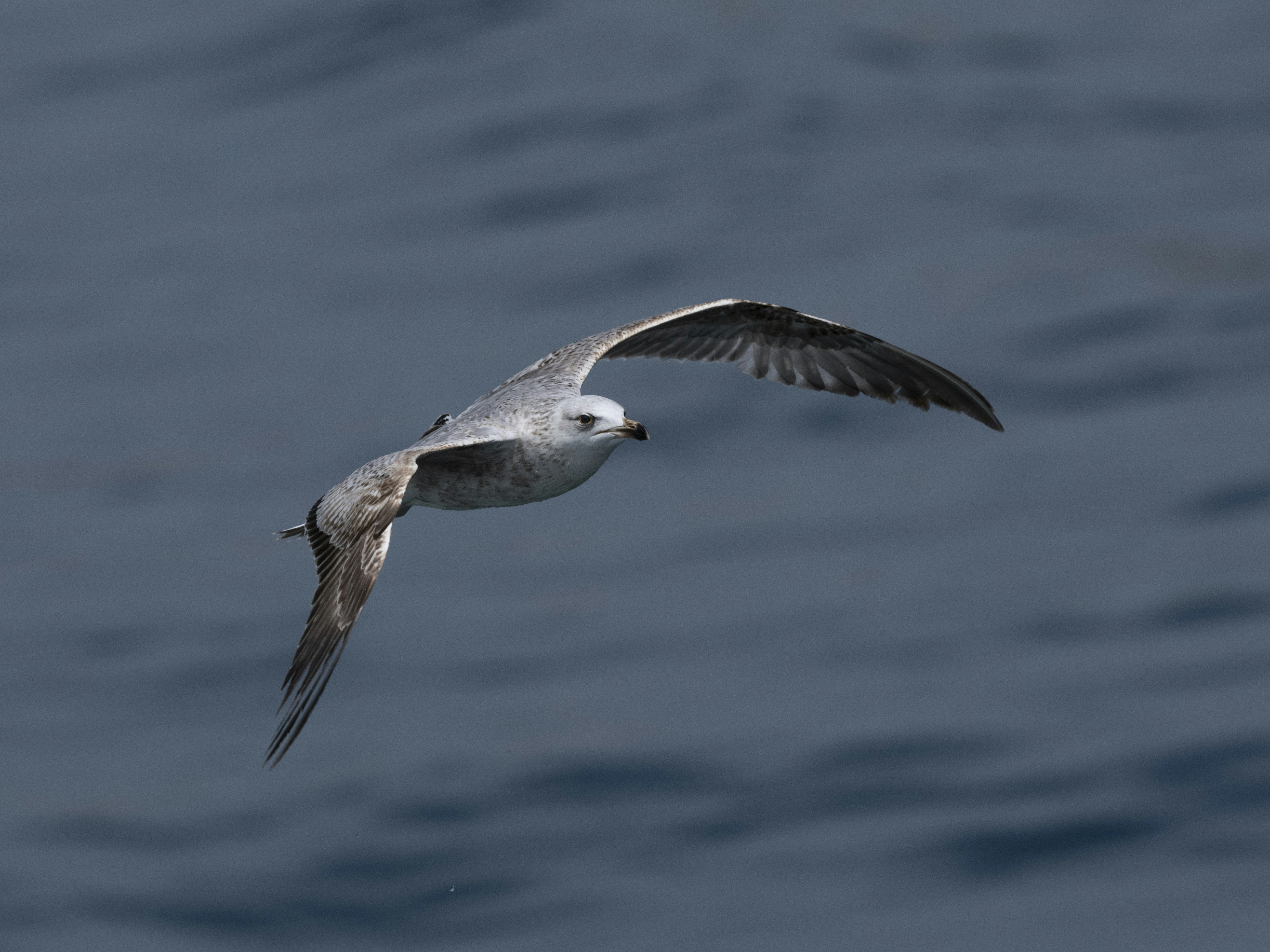 Photo by enginakyurt