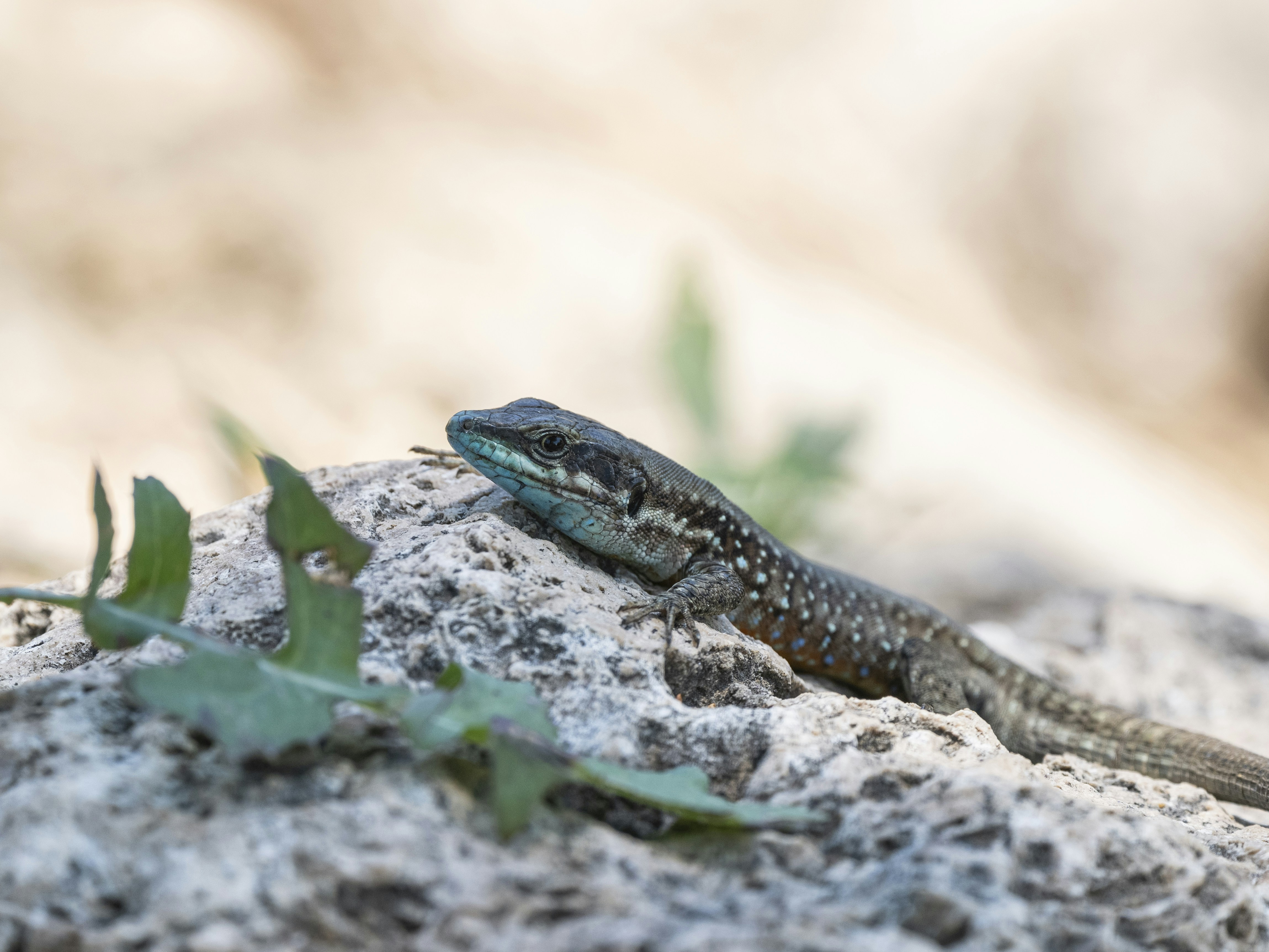 Photo by enginakyurt