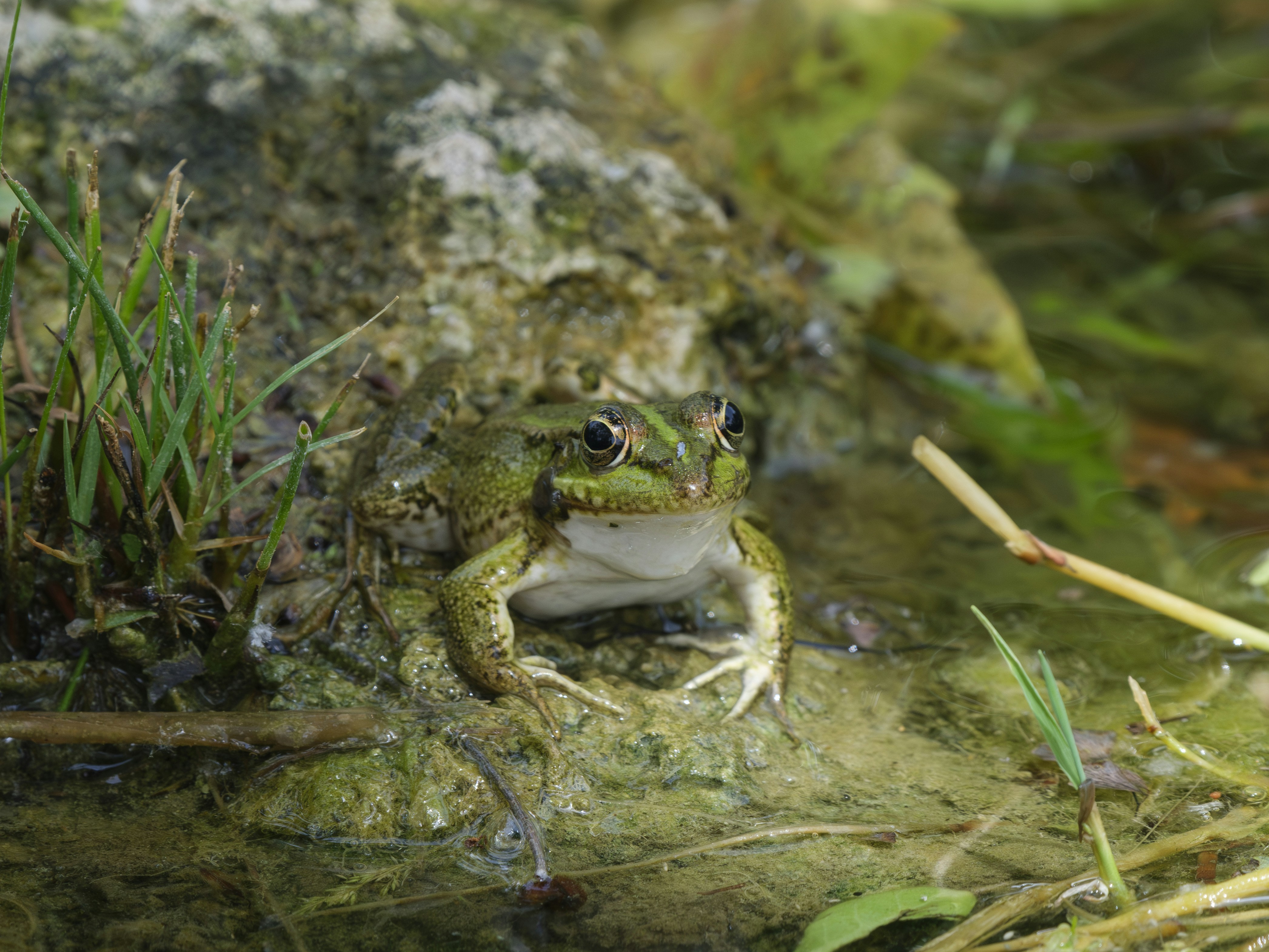 Photo by enginakyurt