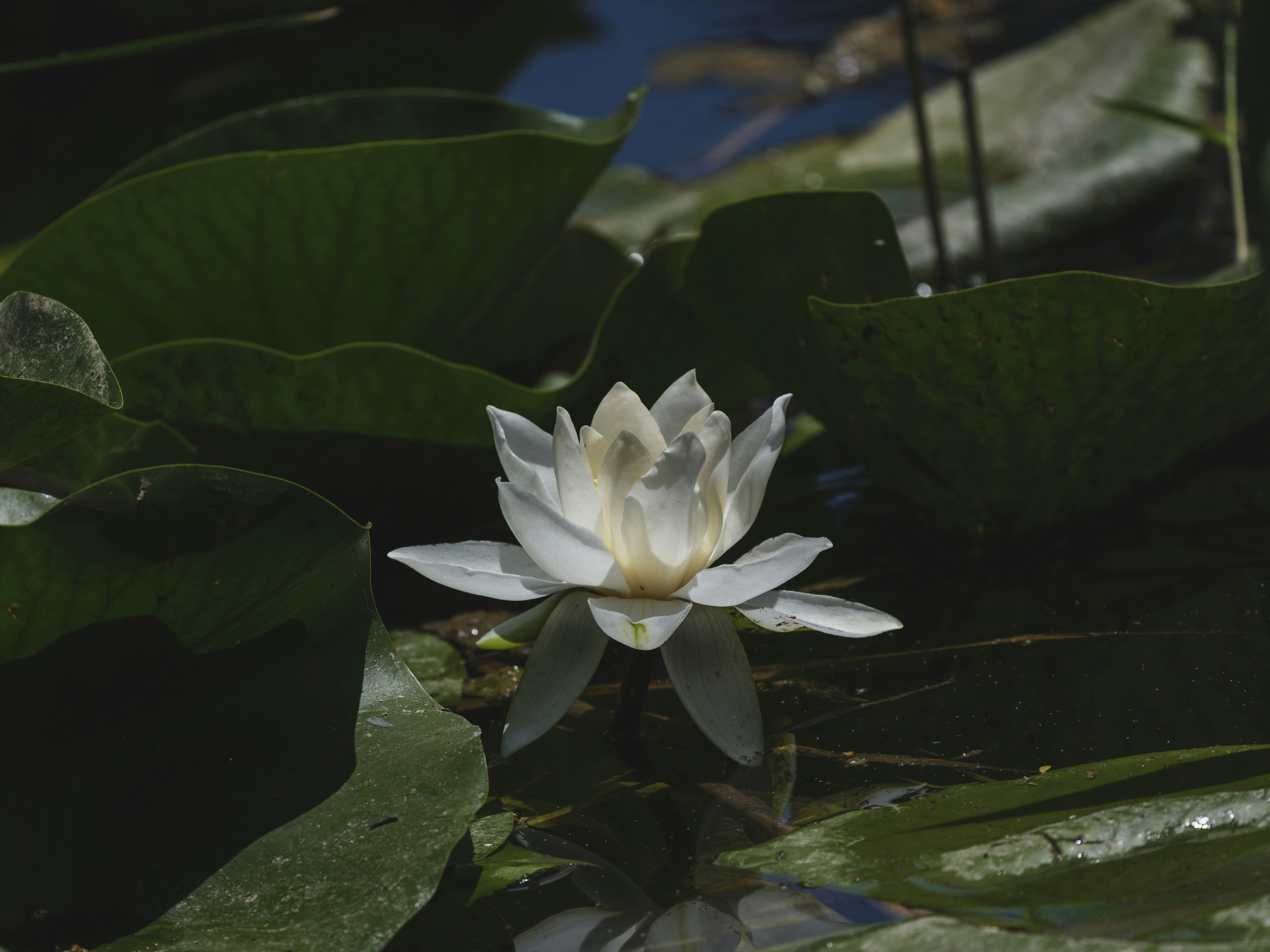 Photo by enginakyurt